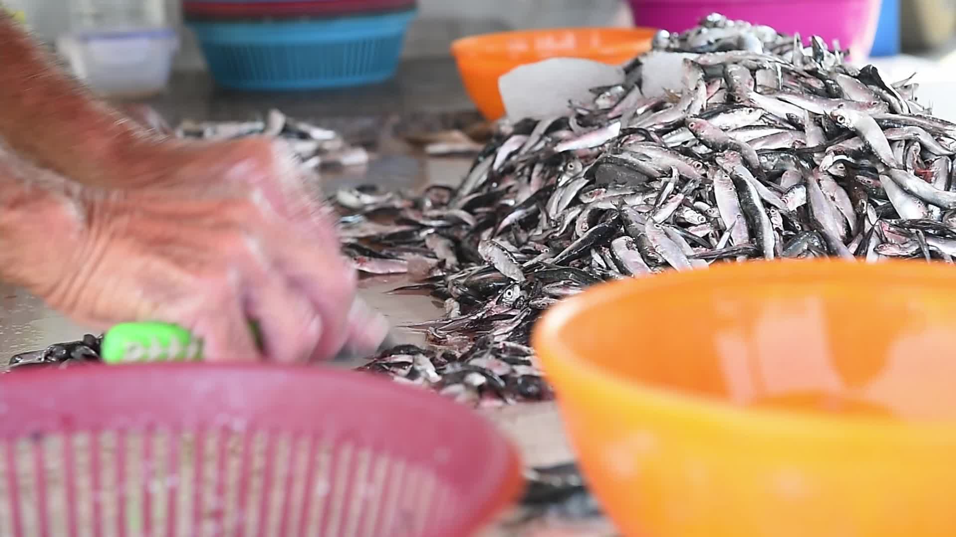Fishing in Beirut amid the economic crisis