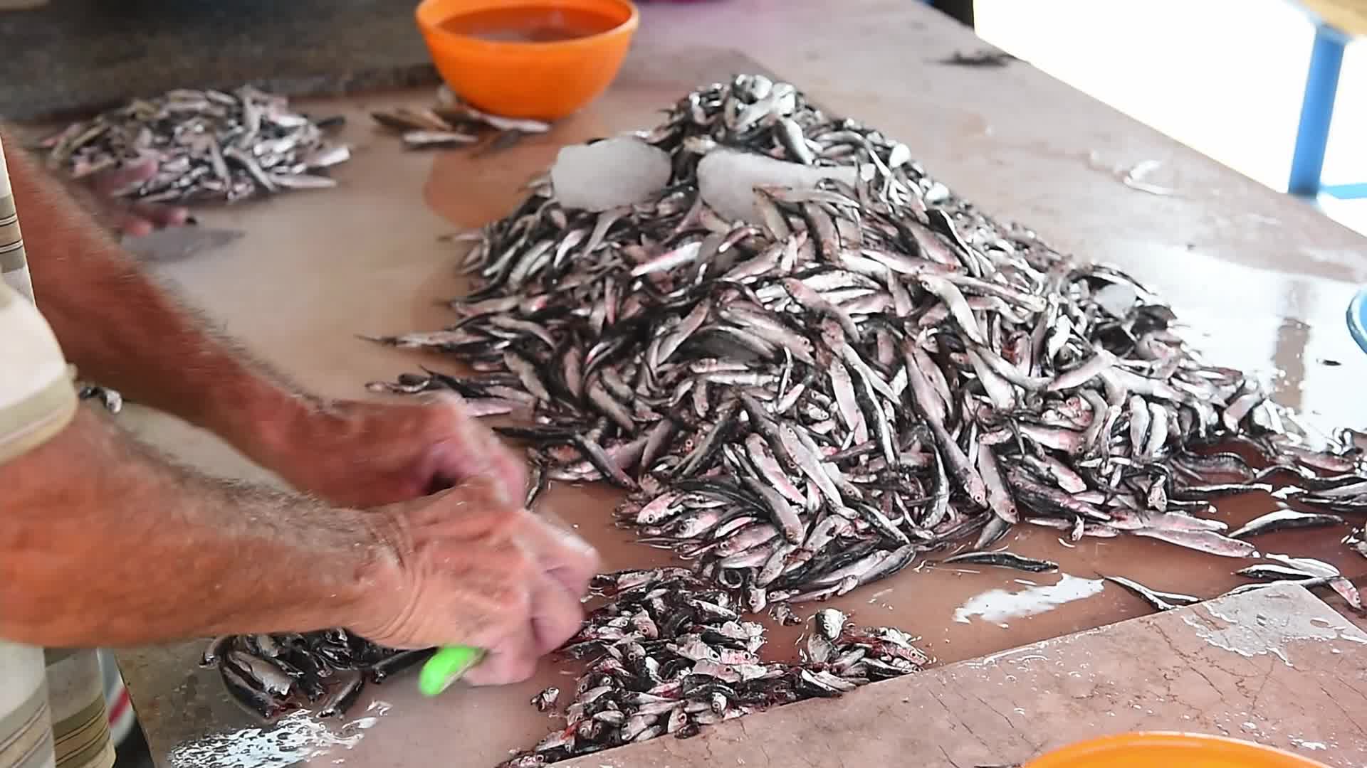 Fishing in Beirut amid the economic crisis