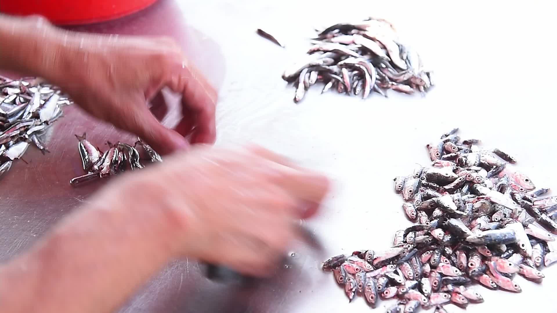 Fishing in Beirut amid the economic crisis