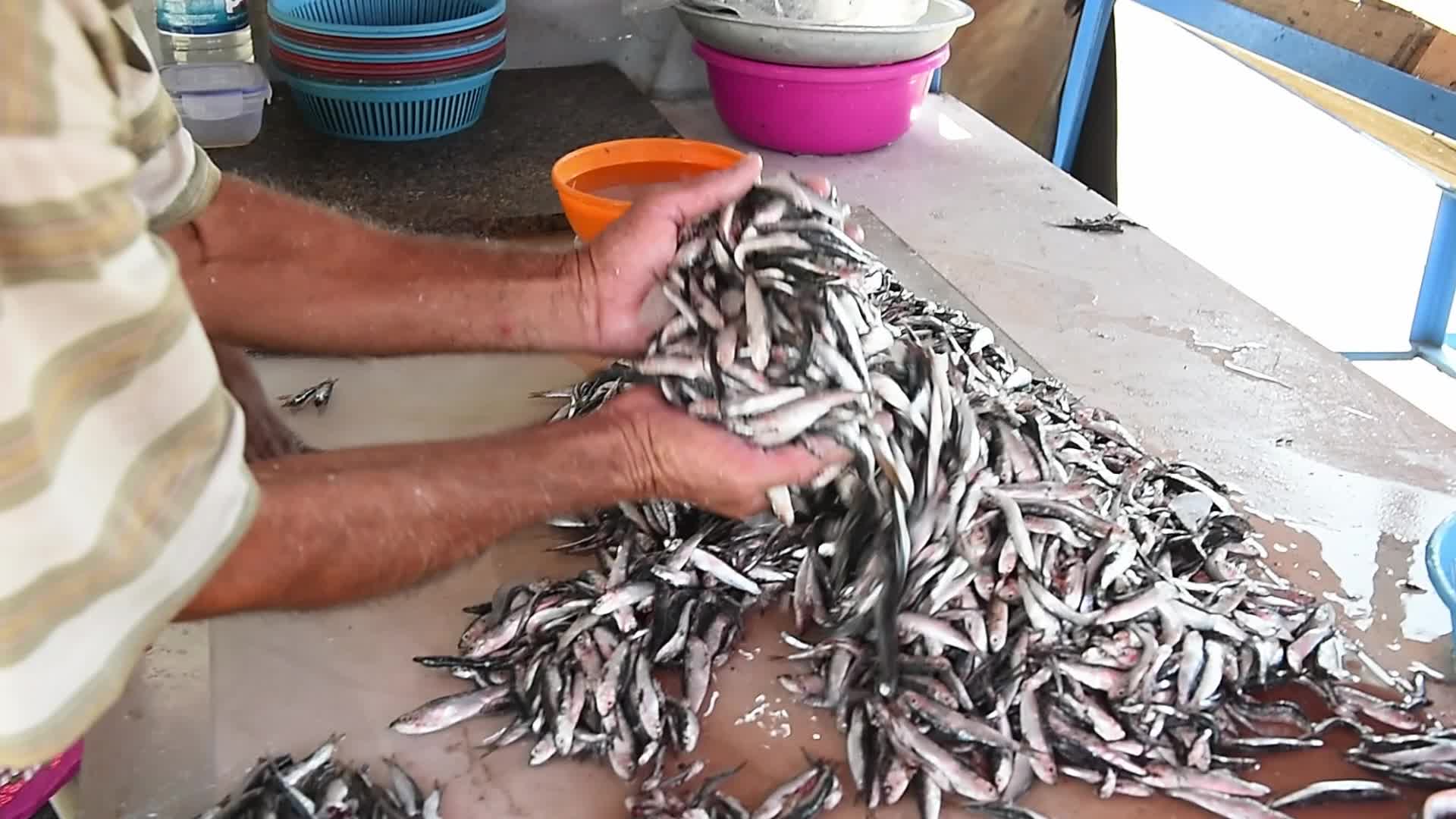 Fishing in Beirut amid the economic crisis