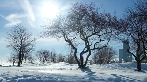 Extreme cold weather in Chicago