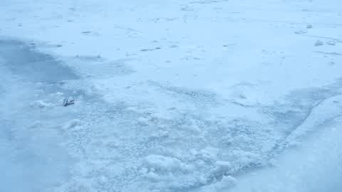 Extreme cold weather in Chicago