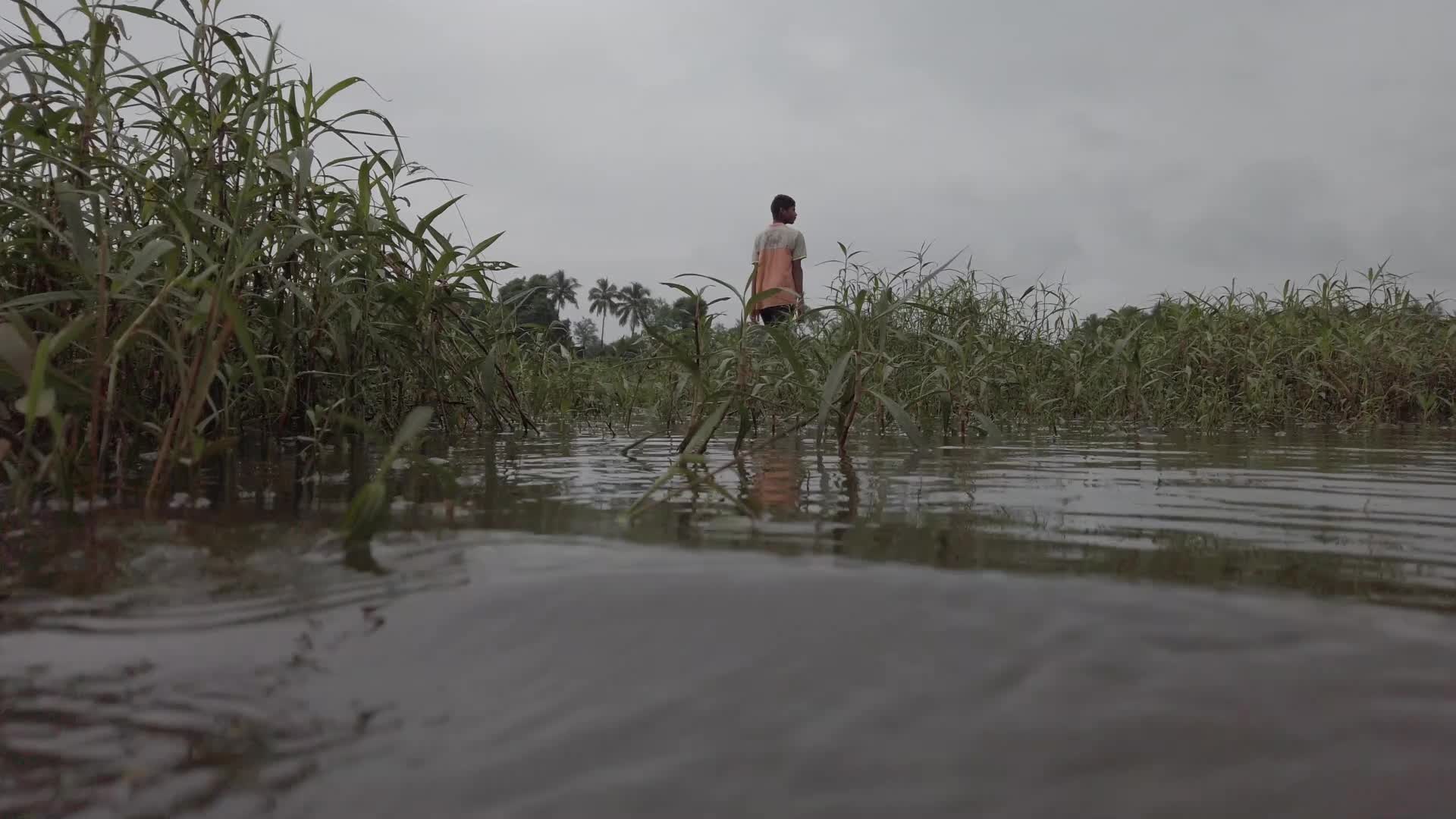 Climate Change