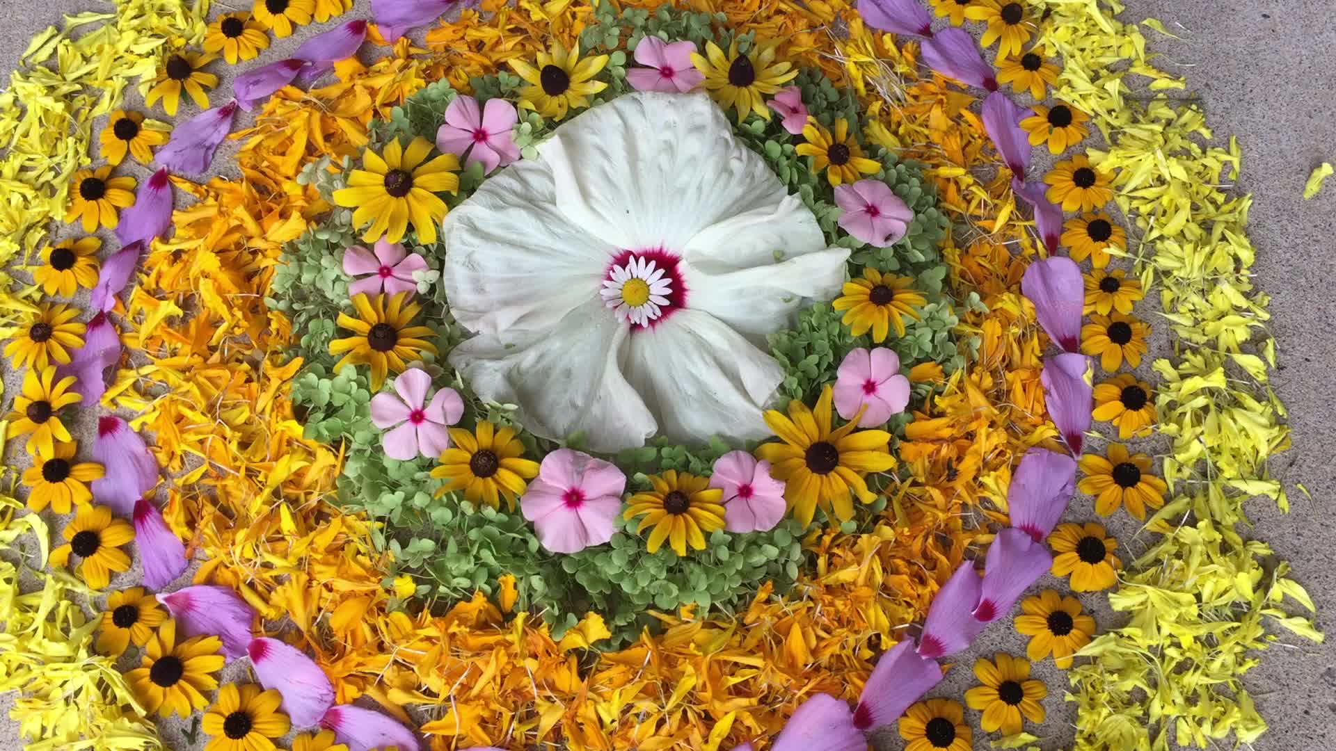 Onam Festival in Canada