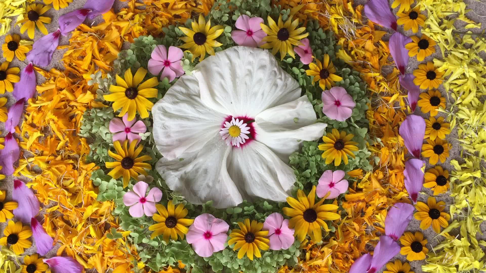 Onam Festival in Canada