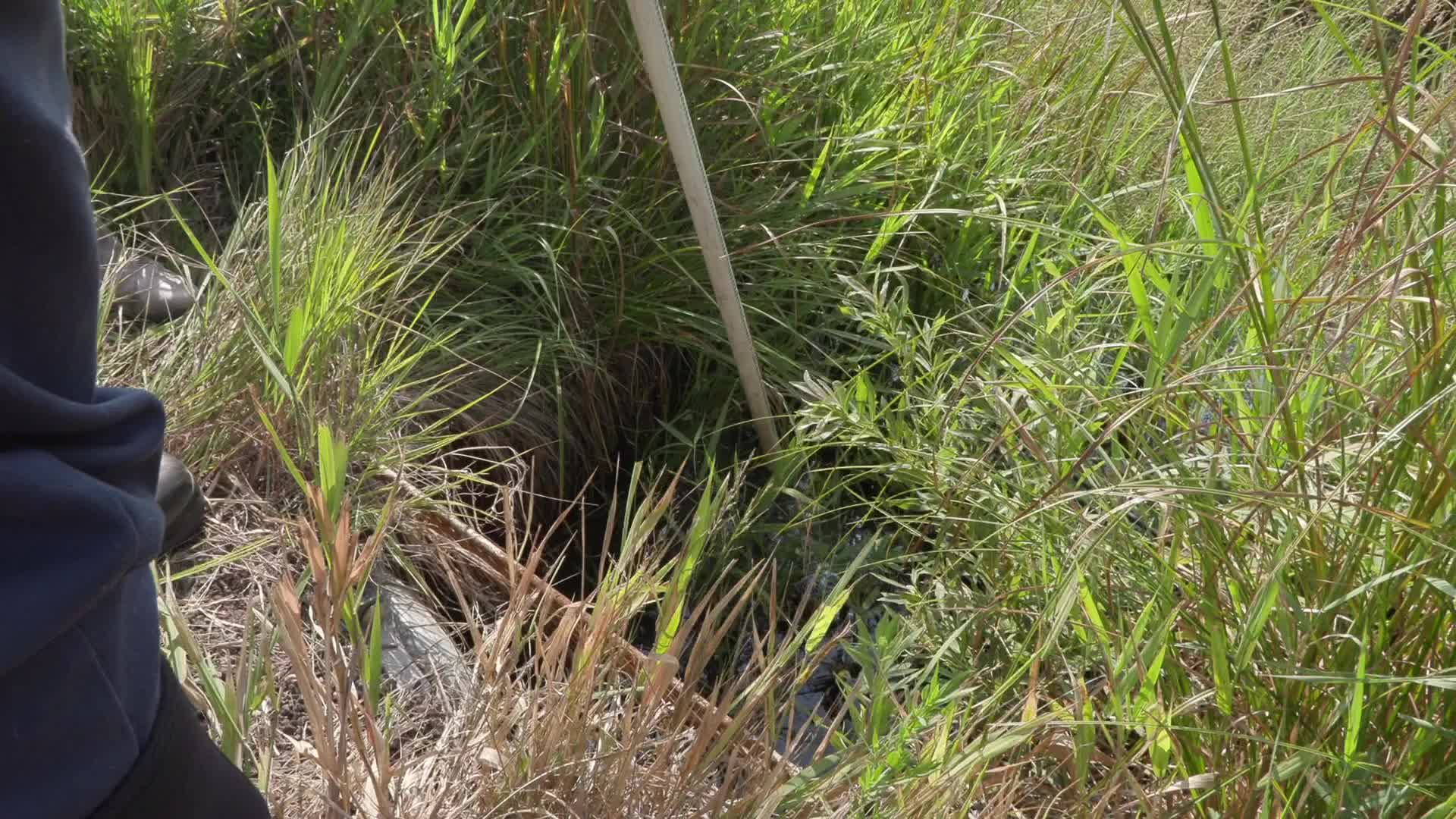 Activists inspect possible leak of drilling fluids from Line 3 pipeline