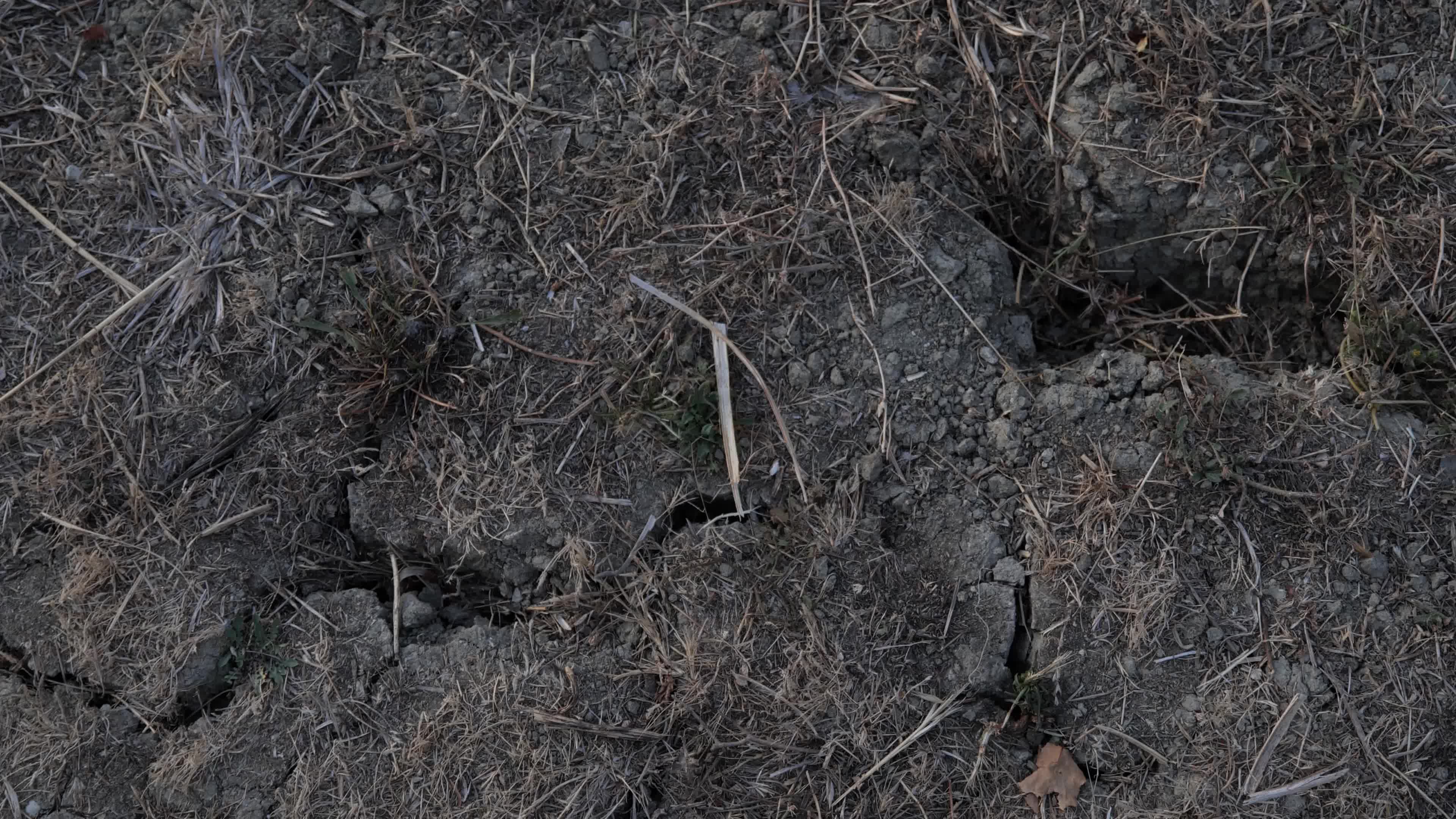 Drought in central Italy