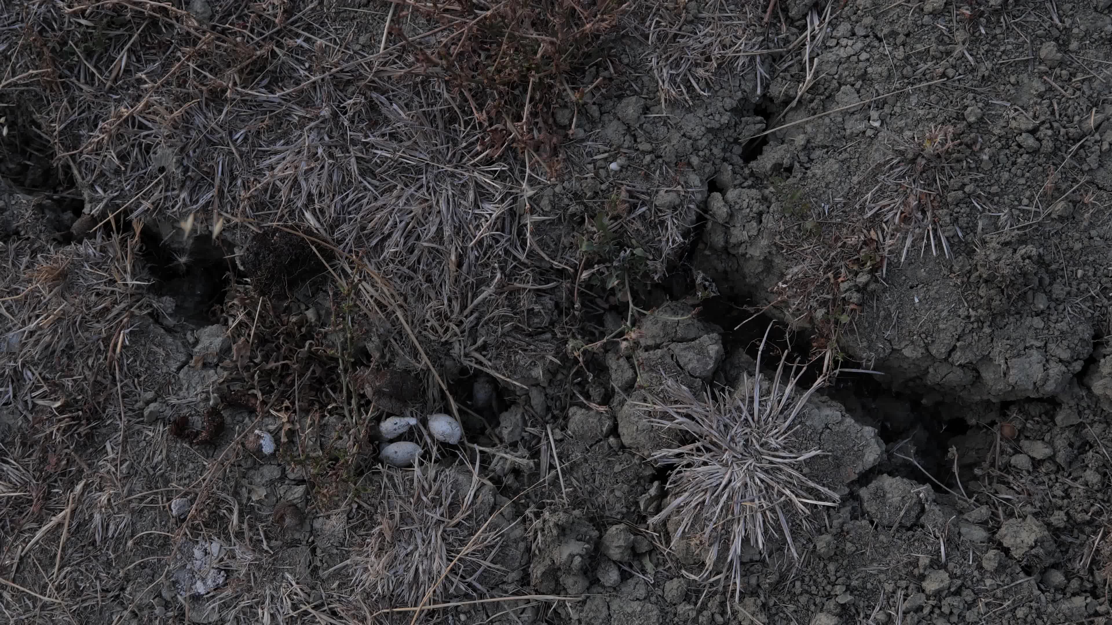 Drought in central Italy