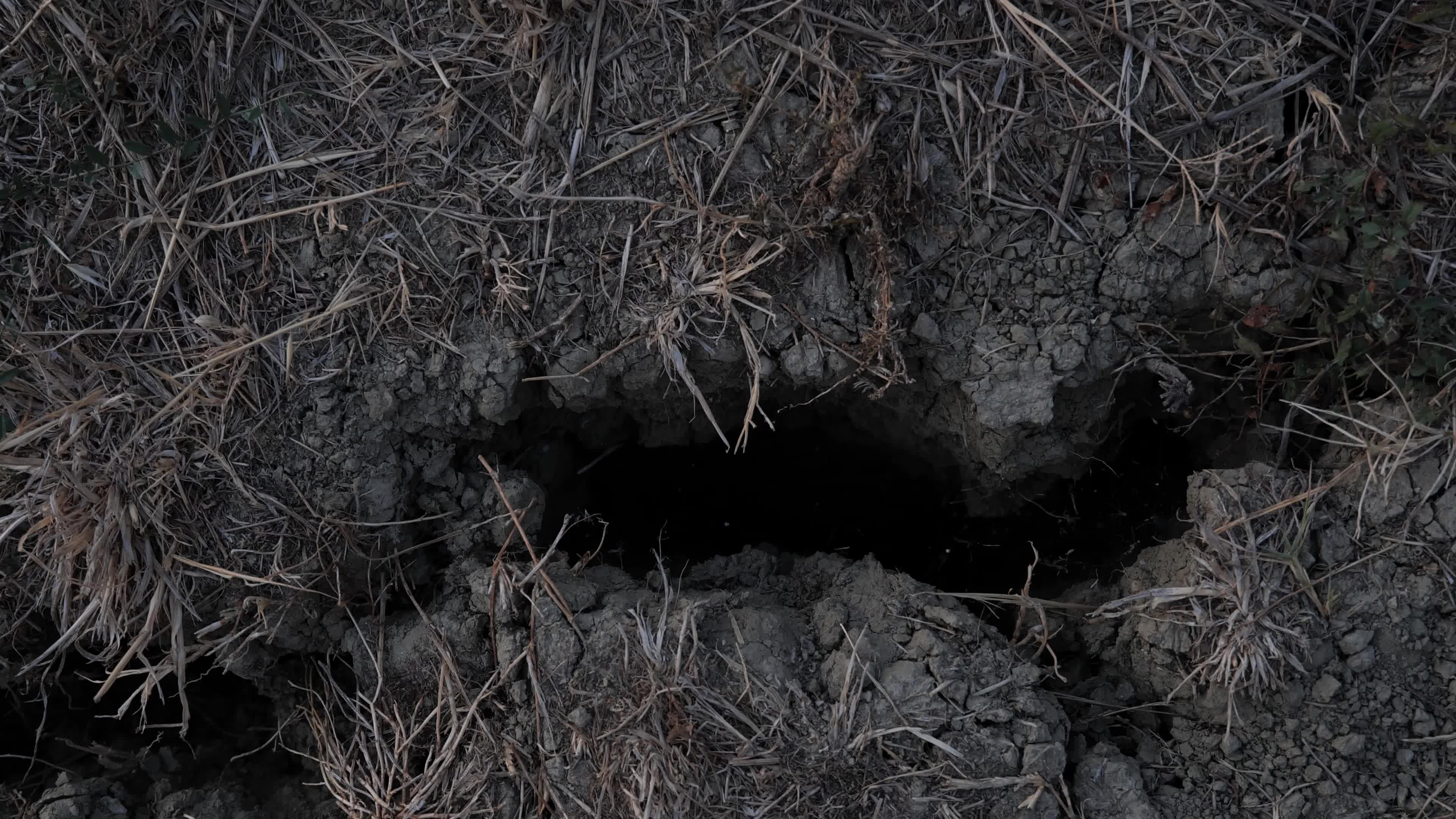 Drought in central Italy