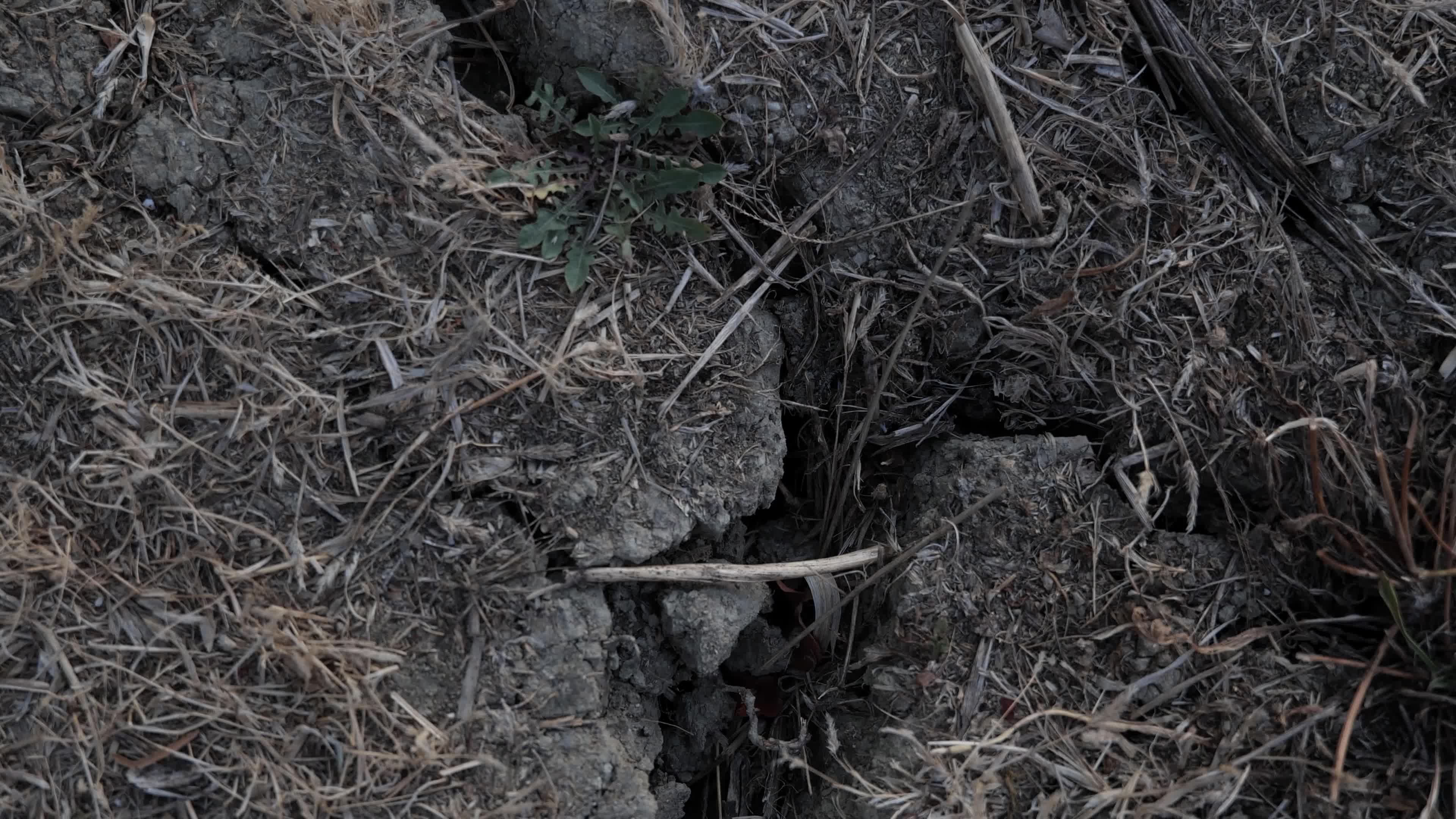 Drought in central Italy