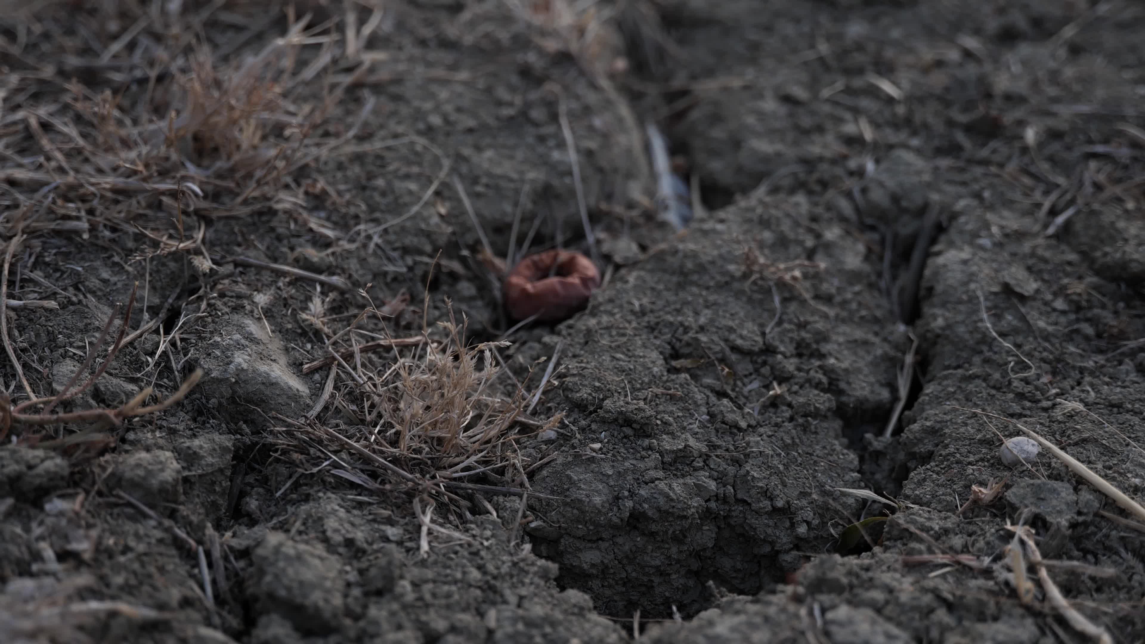 Drought in central Italy