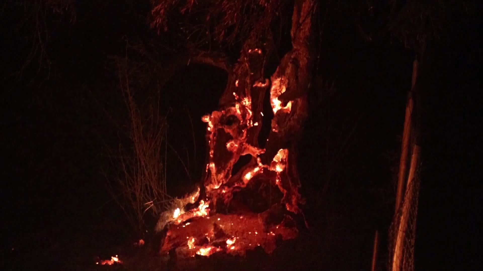 Wildfire in Evia, Greece