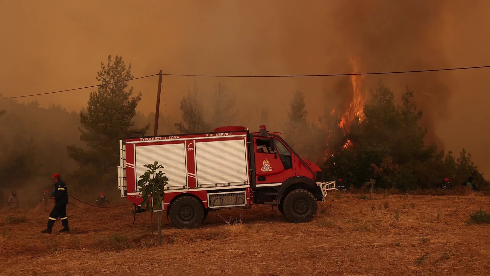 Wildfire burning forest in Evia Island, Greece