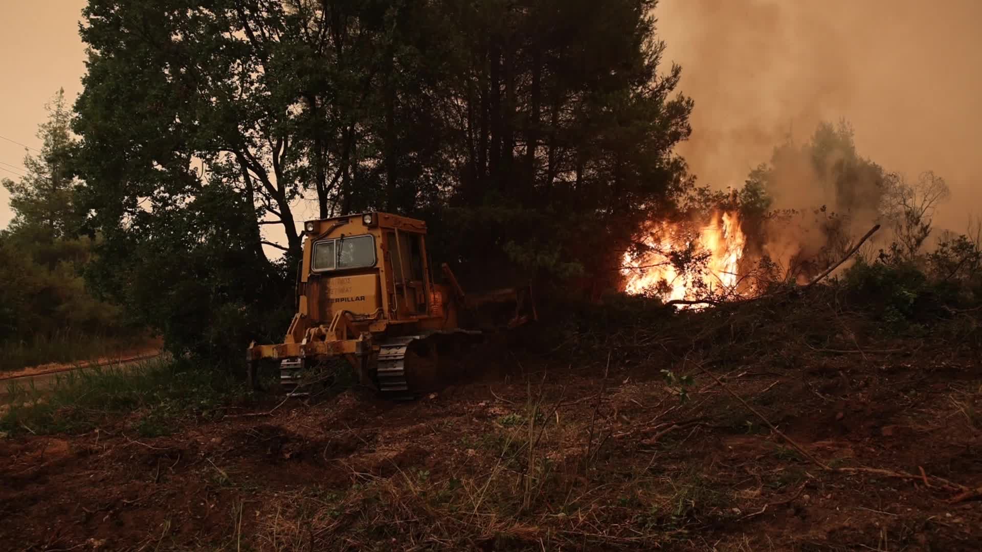 Wildfire burning forest in Evia Island, Greece