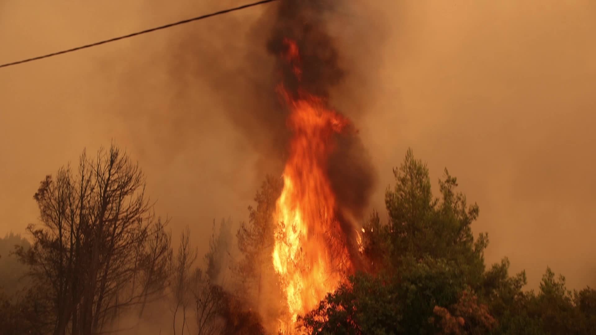 Wildfire burning forest in Evia Island, Greece