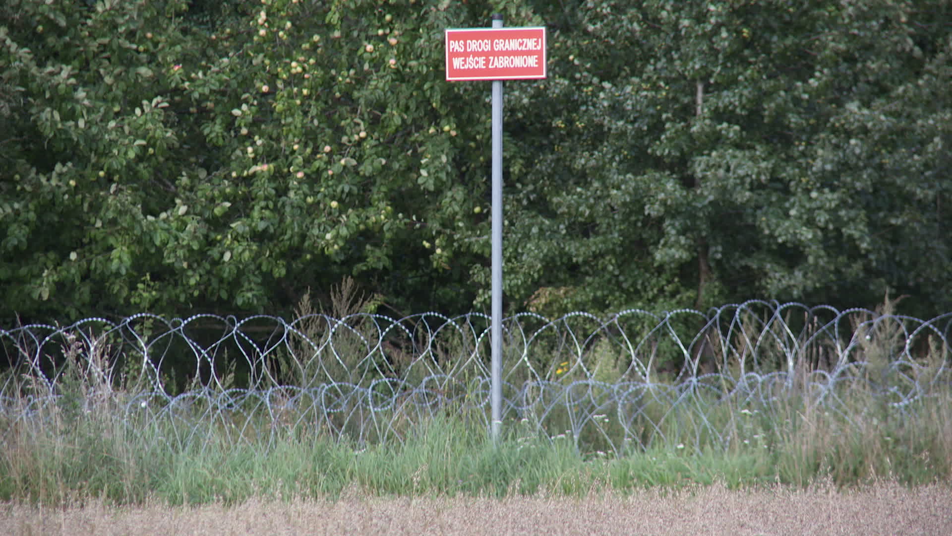 Poland Belarus Border Refugees