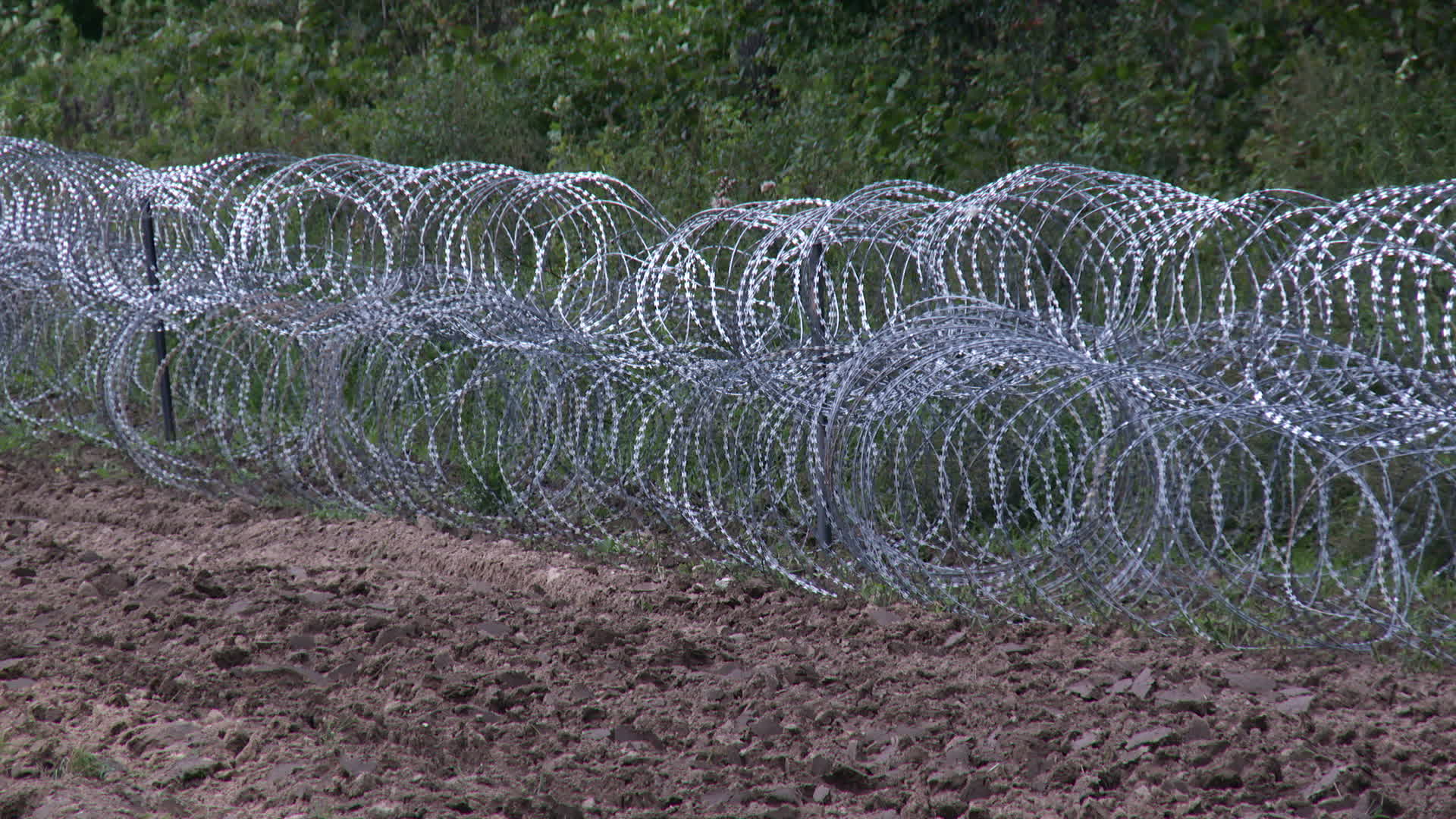 Poland Belarus Border Refugees