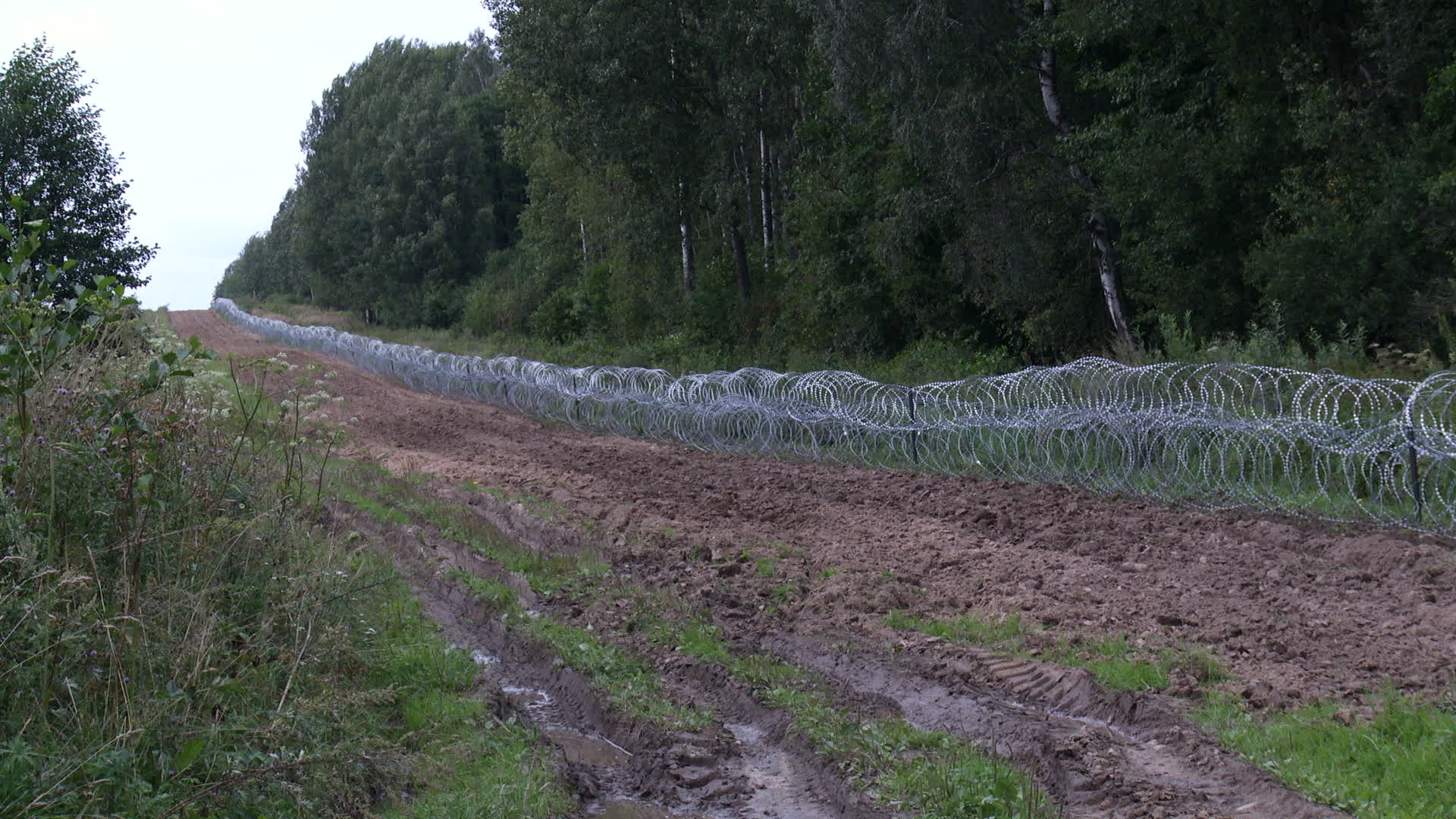 Poland Belarus Border Refugees