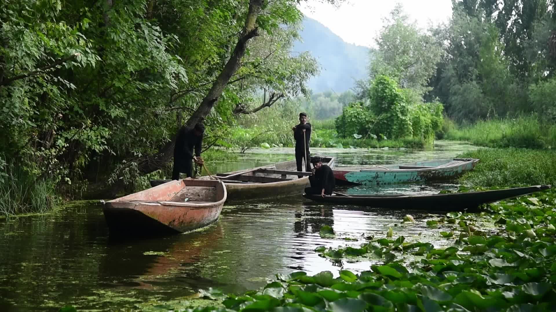 9th Muharram procession on boats in Srinagar
