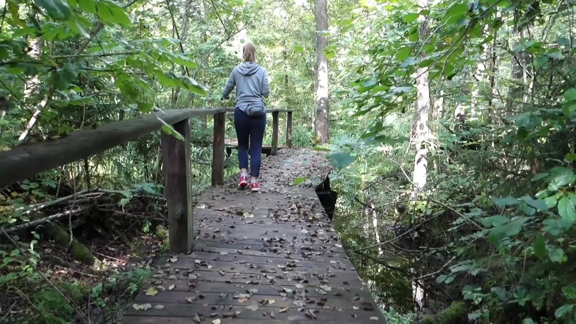 Bialowieza National Park in Poland