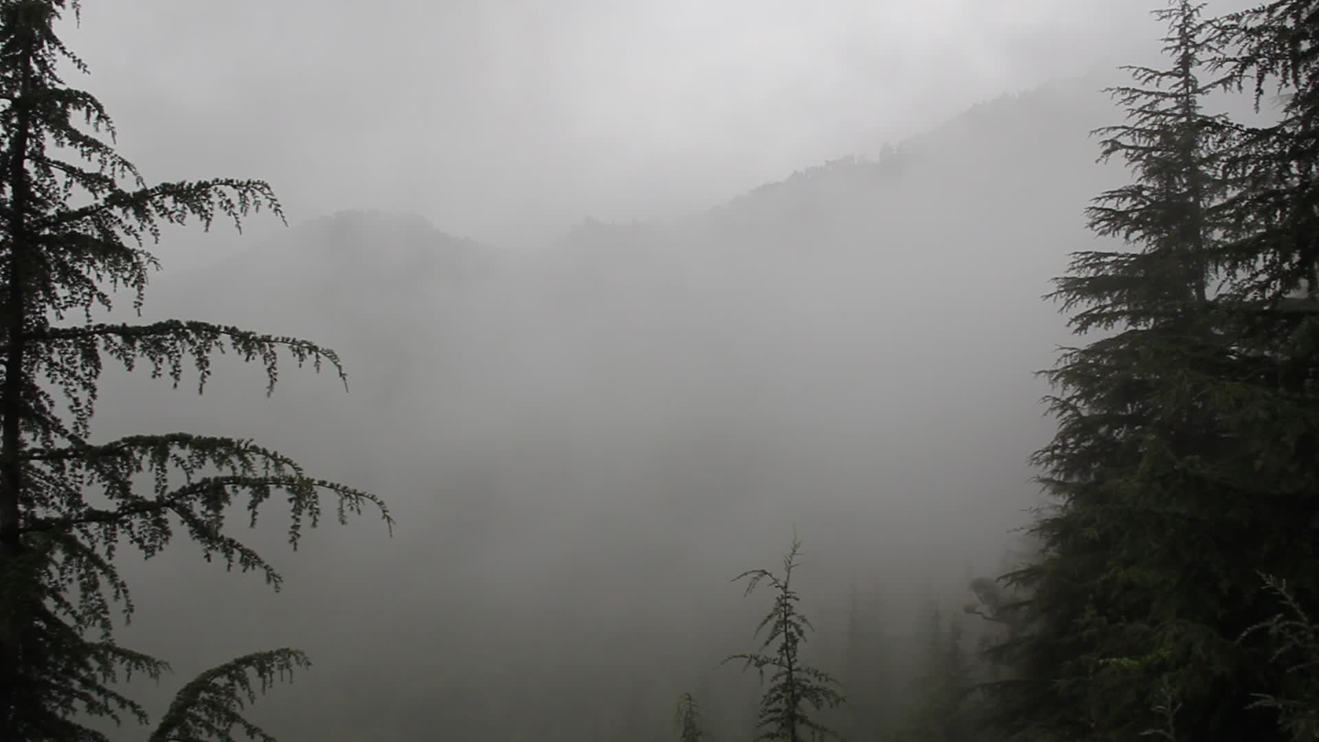 Mist rises over the mountains in Himachal Pradesh