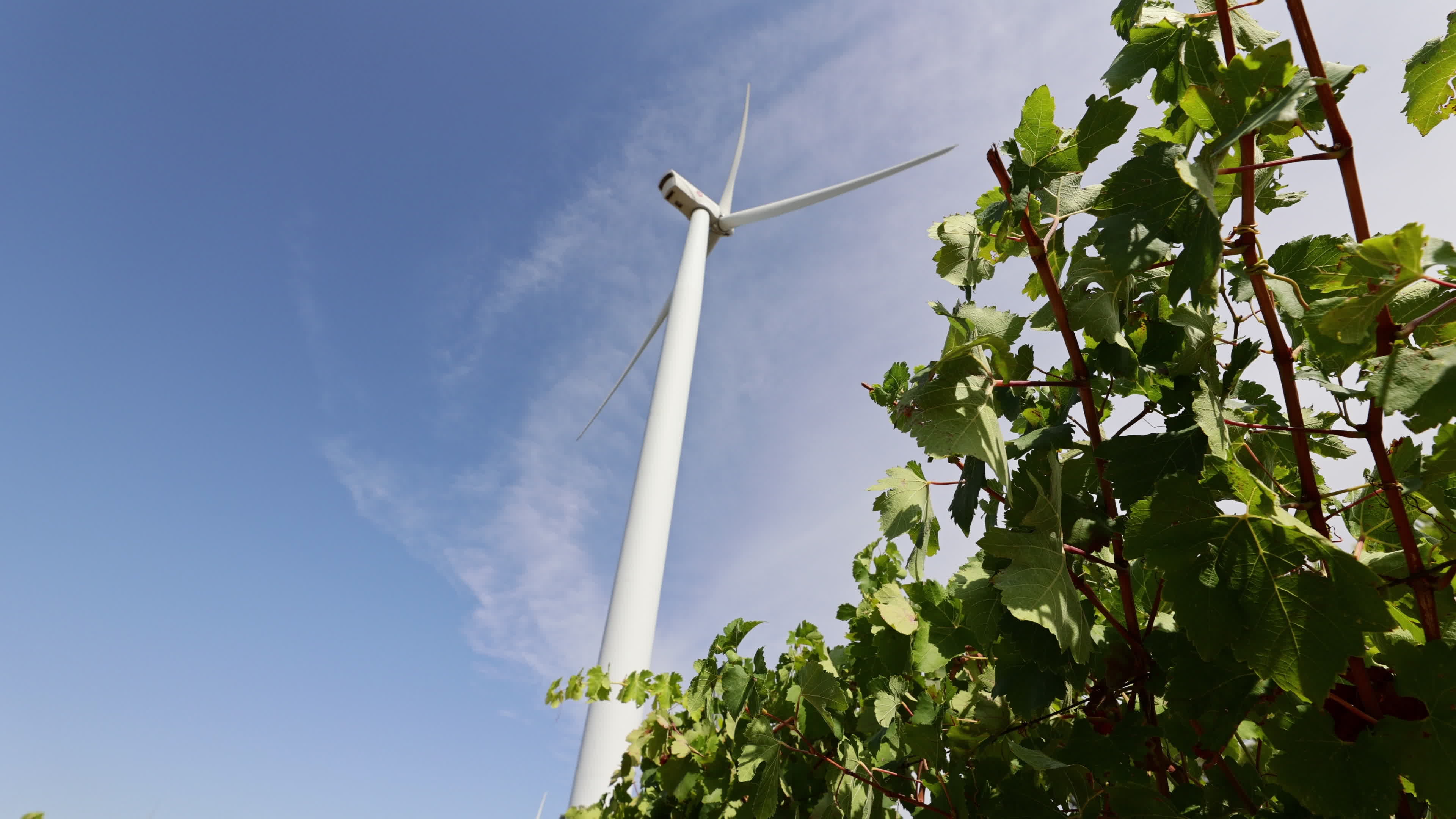 Wind Power Station in Spain