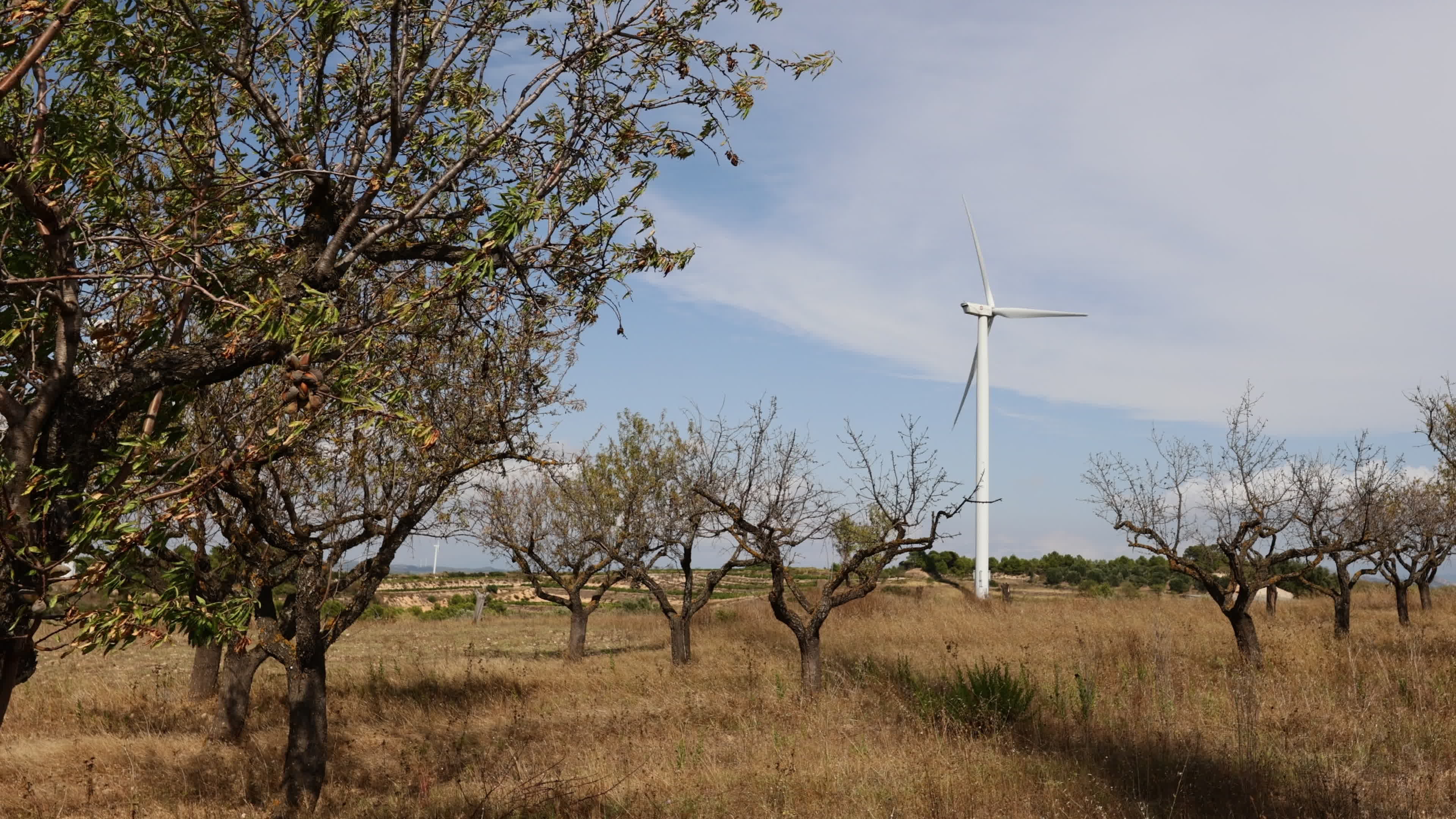 Wind Power Station in Spain