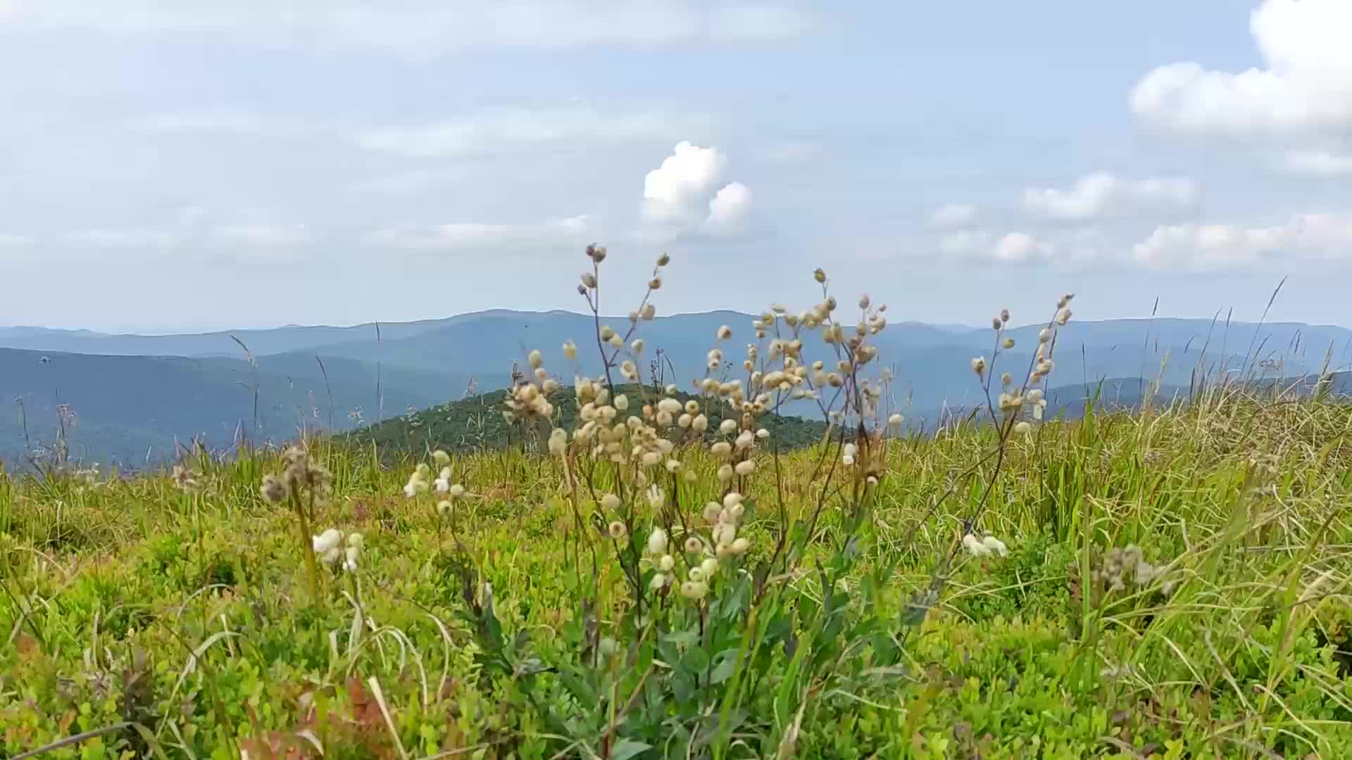 Mountain landscape in the Bieszczady Mountains