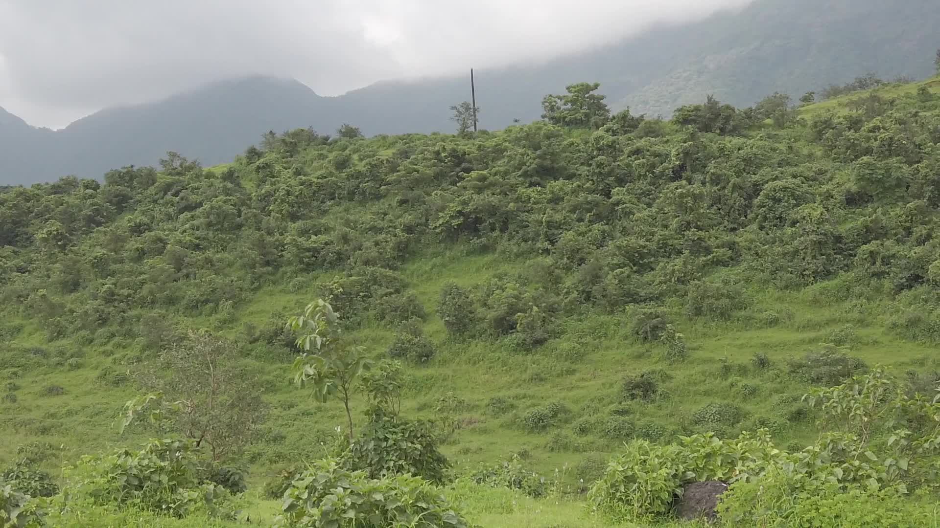 Mountains with a beautiful view after rain