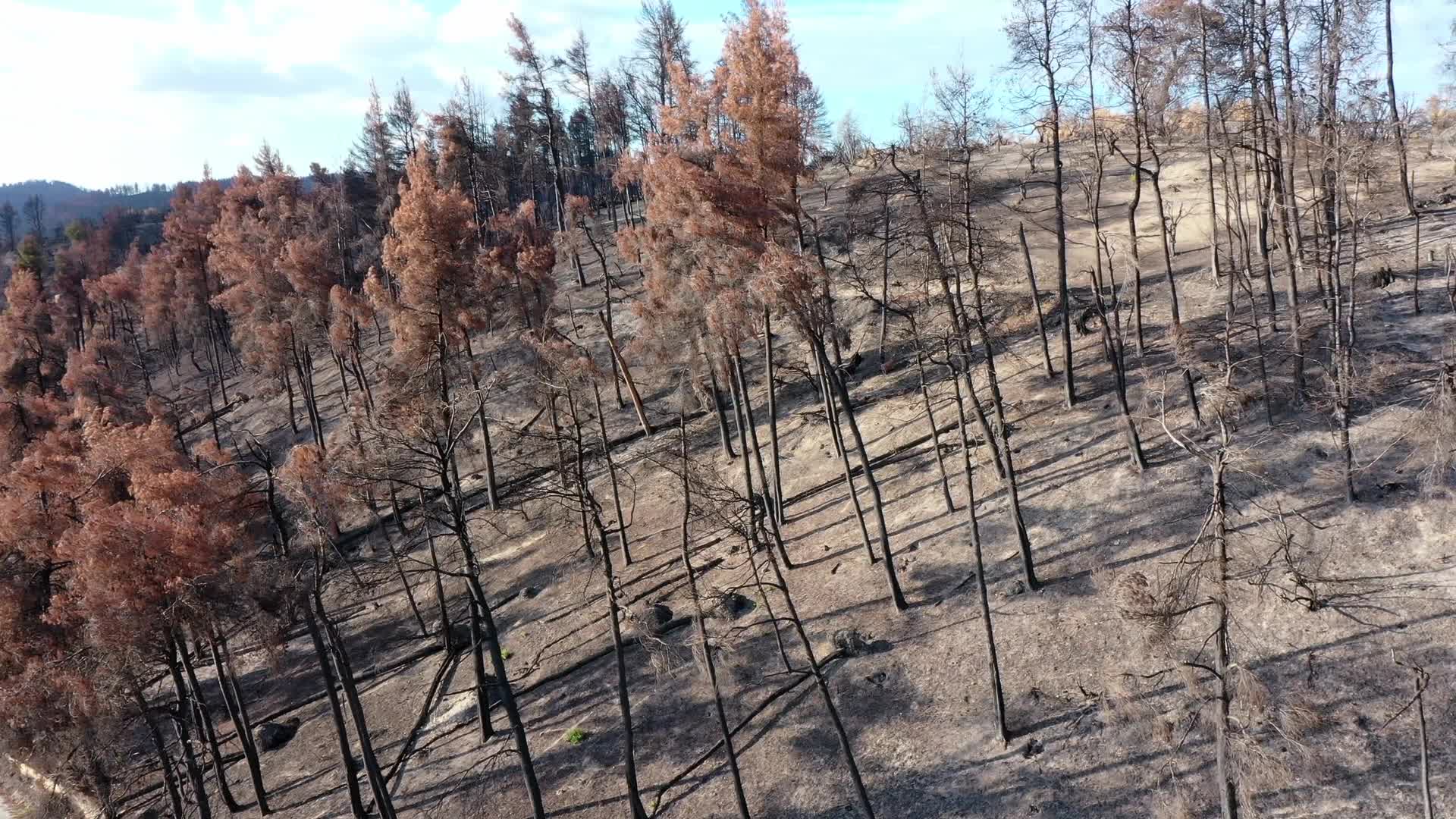 Greek island of Evia strangles with aftermath of wildfires and drought