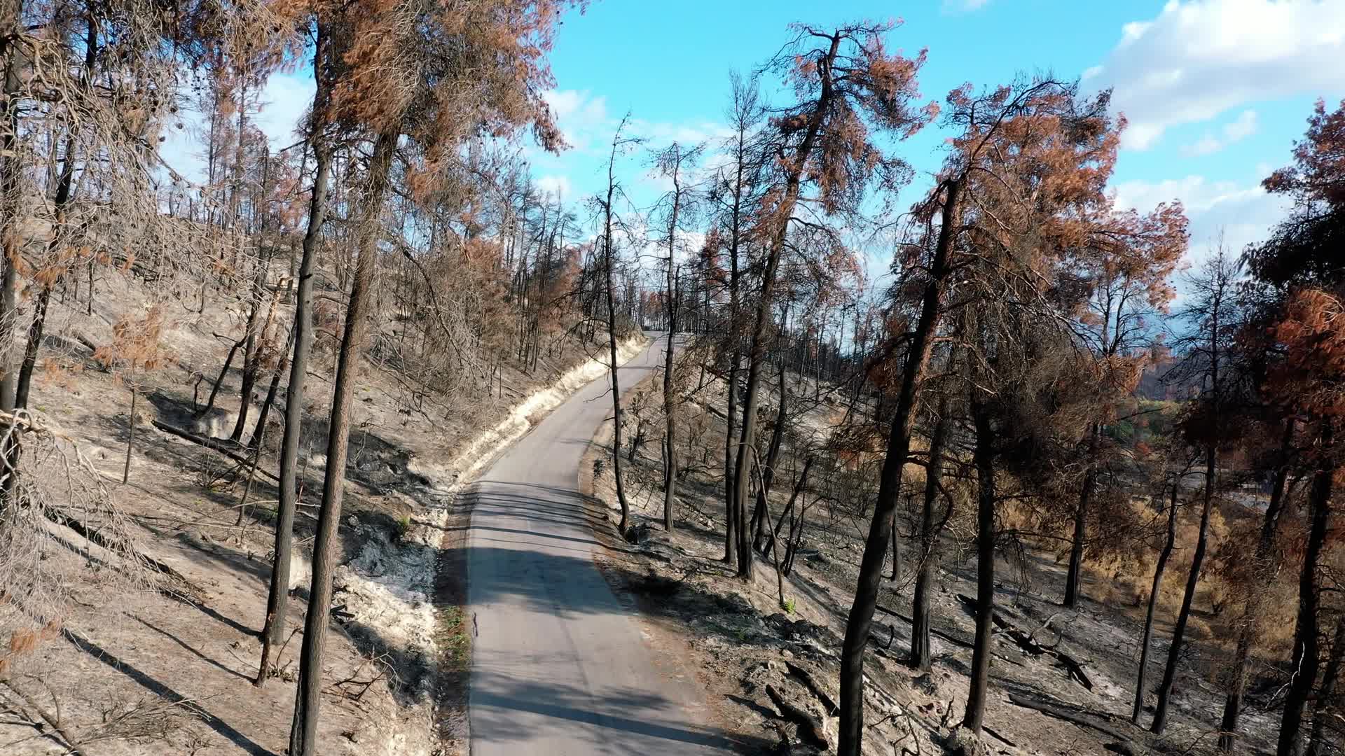 Greek island of Evia strangles with aftermath of wildfires and drought