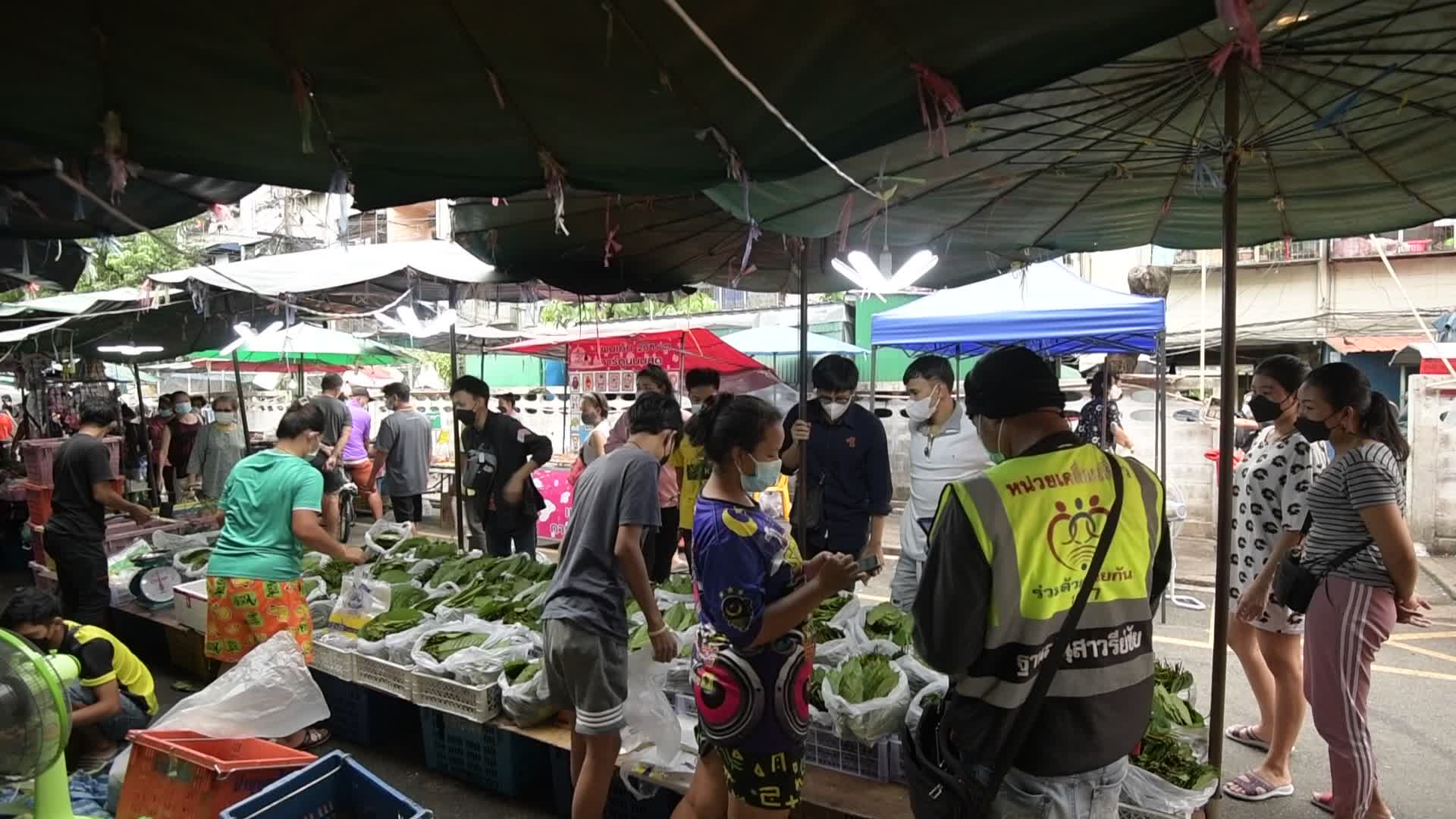 Thailand Removed Kratom From Illegal Drugs List