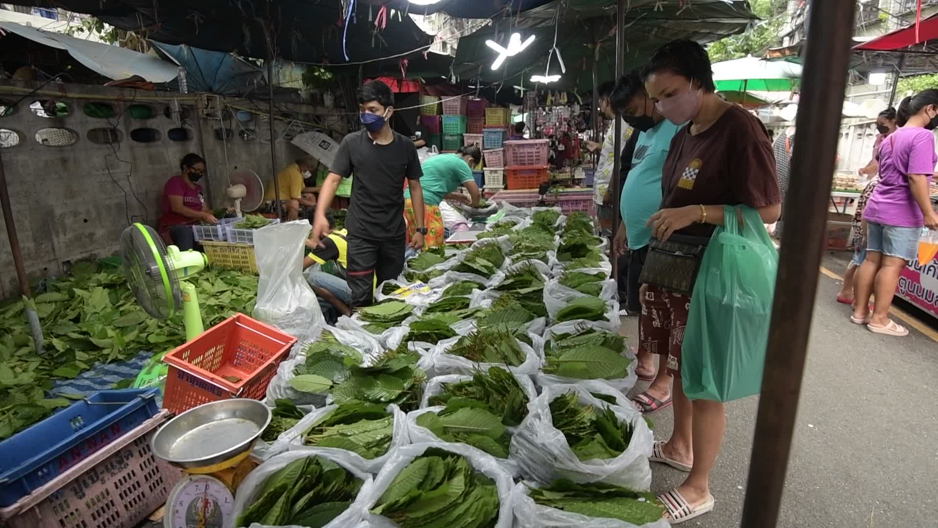 Thailand Removed Kratom From Illegal Drugs List