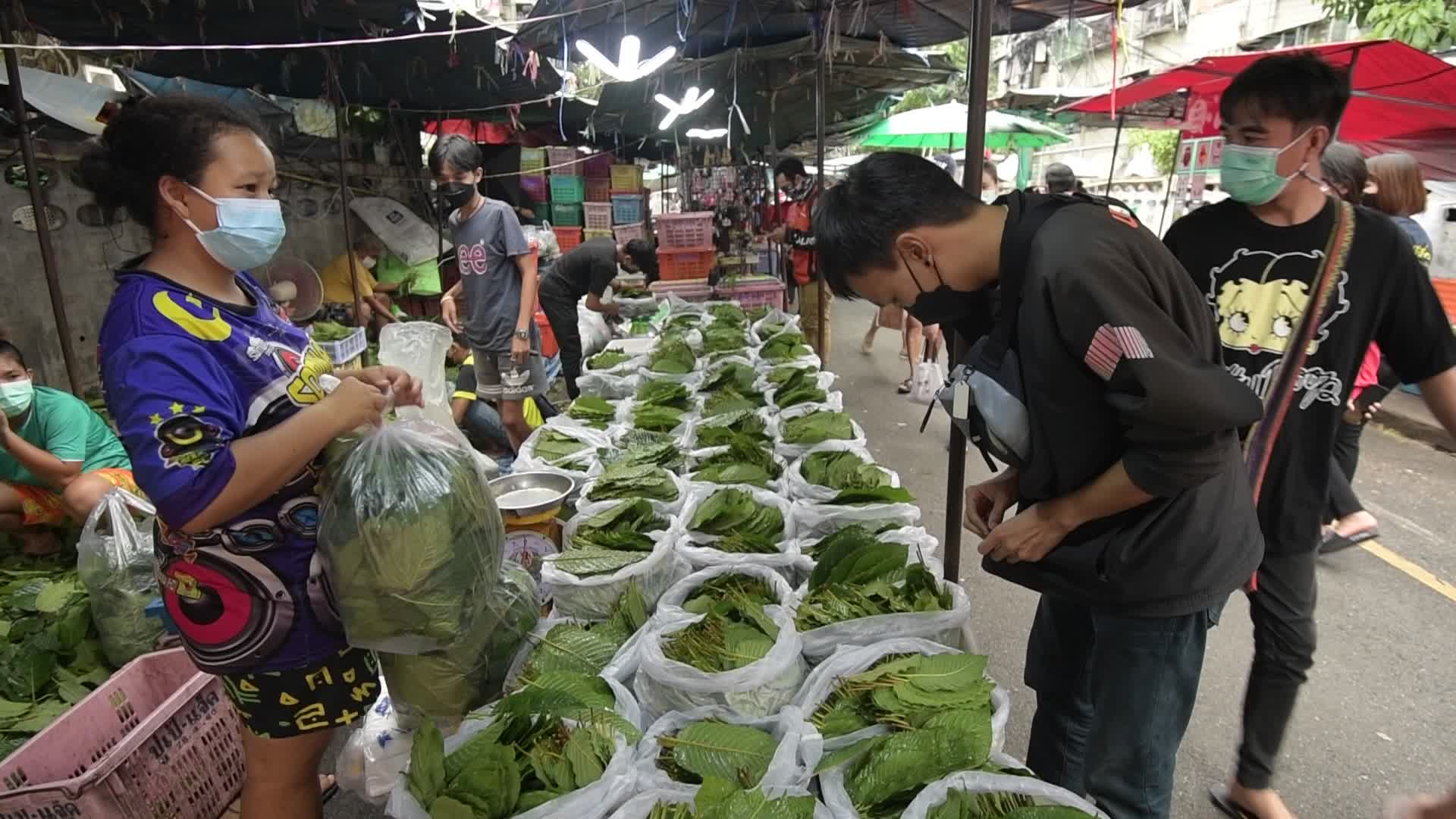 Thailand Removed Kratom From Illegal Drugs List