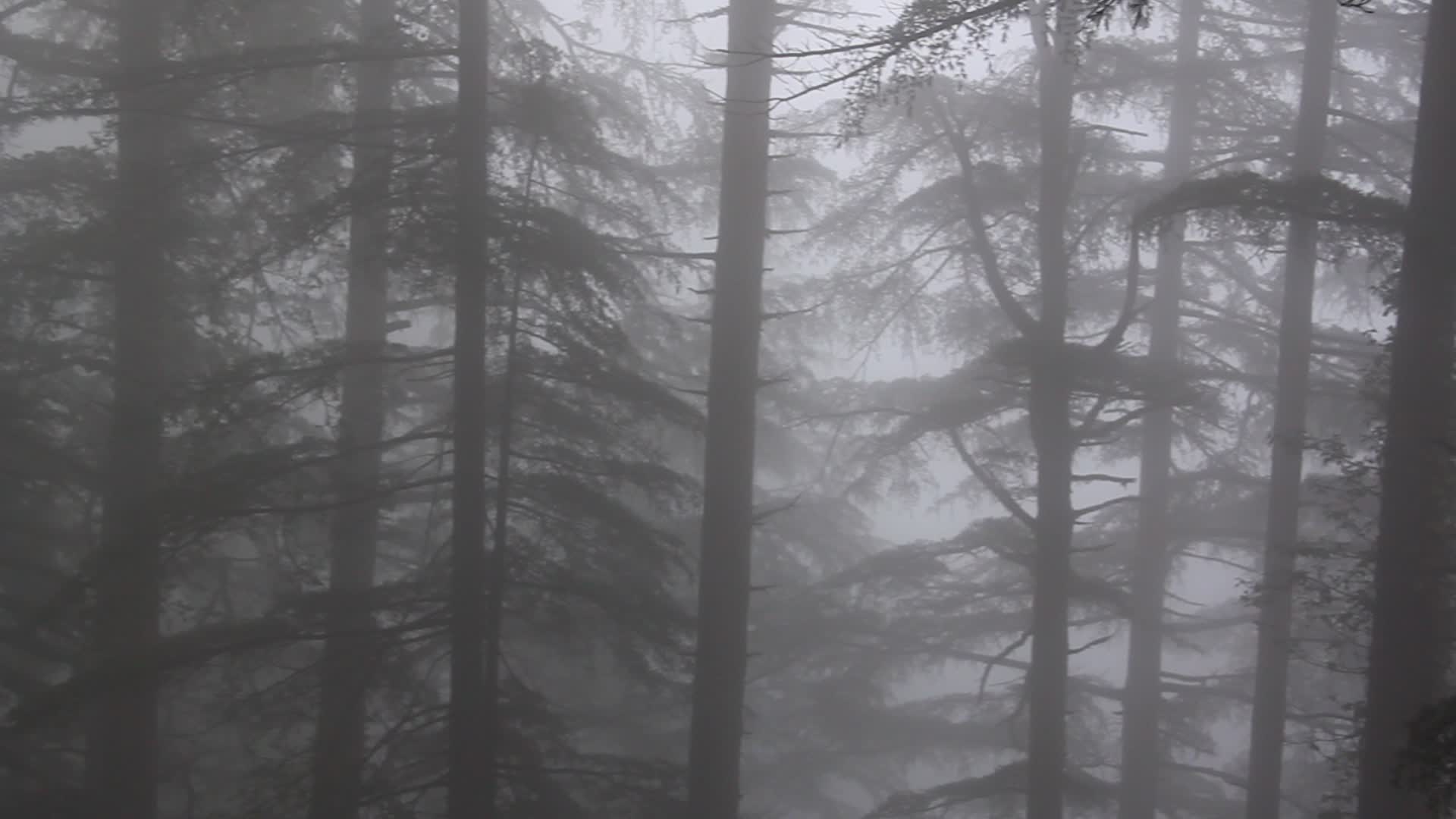 Monsoon season in Himachal Pradesh, India
