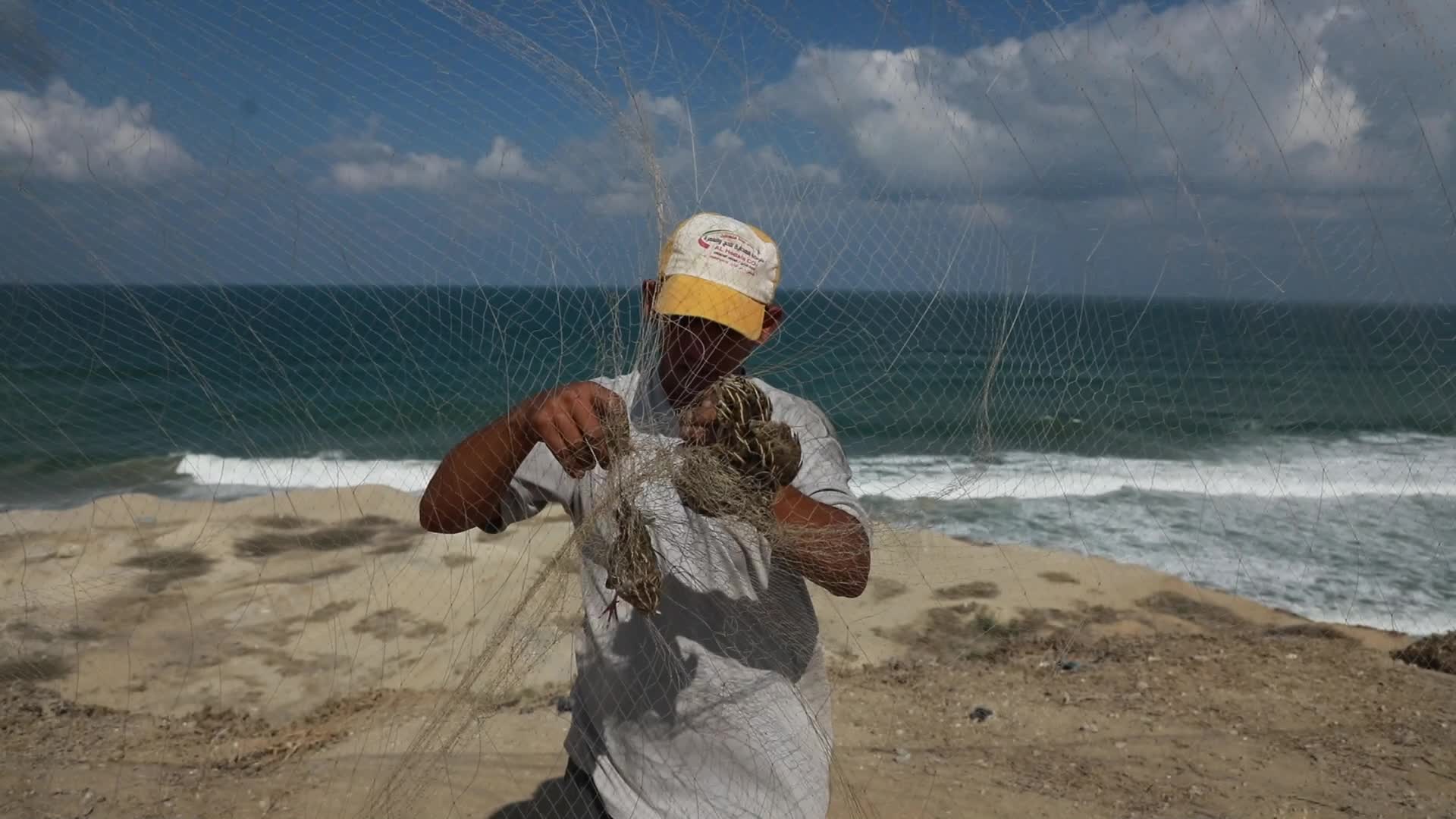 Quail hunt in Gaza strip