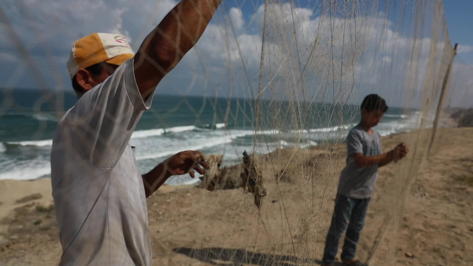Quail hunt in Gaza strip