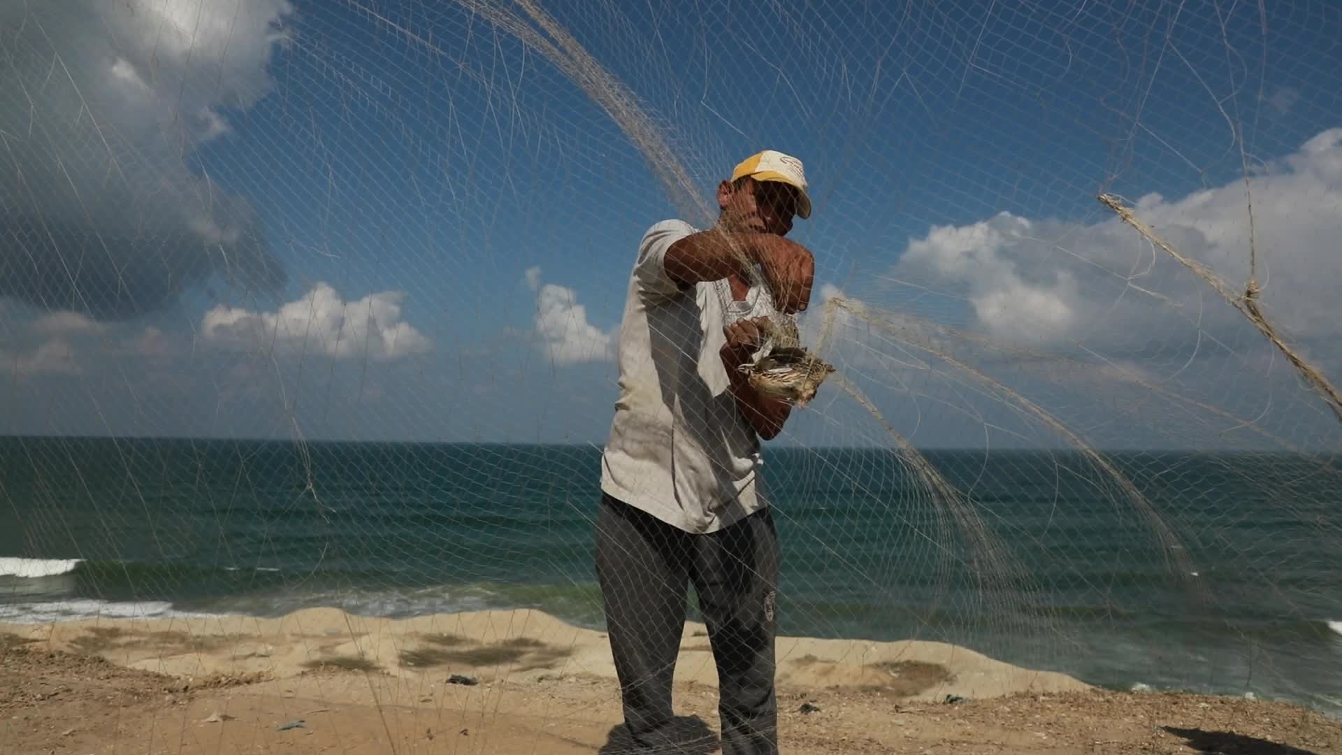 Quail hunt in Gaza strip