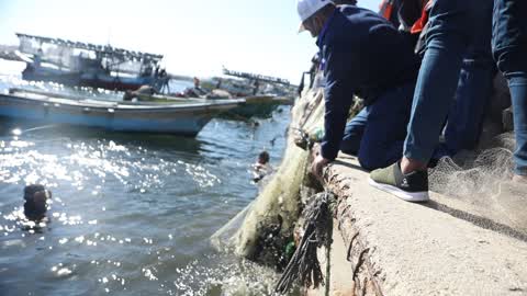 Volunteers in Gaza clean up the port