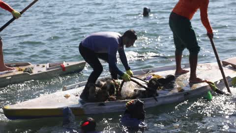 Volunteers in Gaza clean up the port