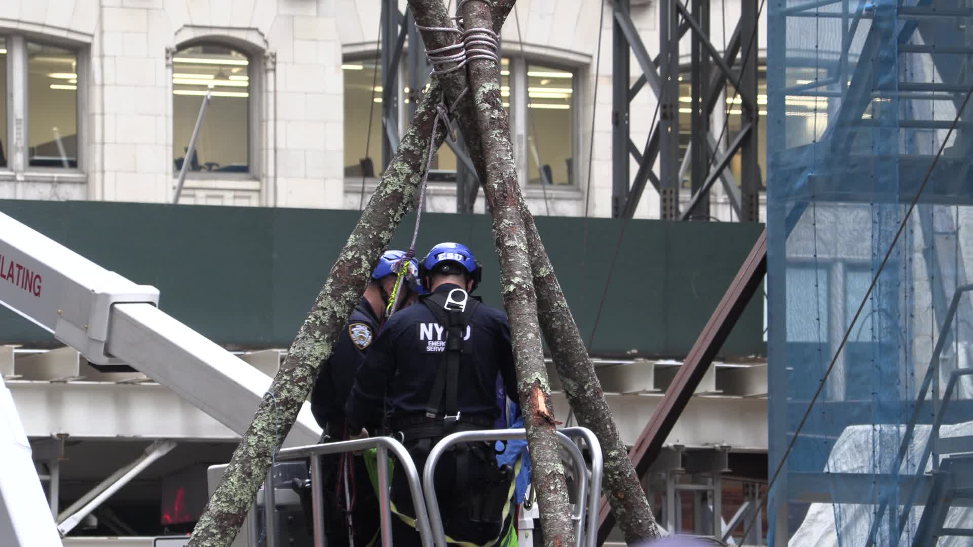 NYC: Extinction Rebellion protest to demand JP Morgan stop fossil fuel investment