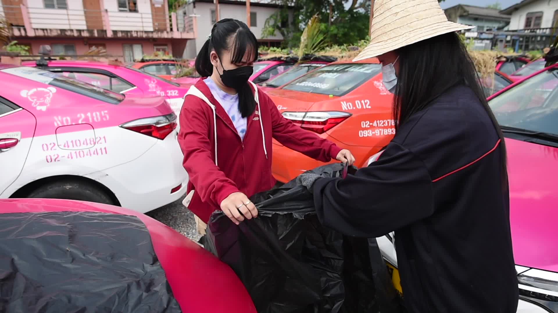 Bangkok's Taxis Become Vegetable Garden to Fight COVID-19 Economic Crisis