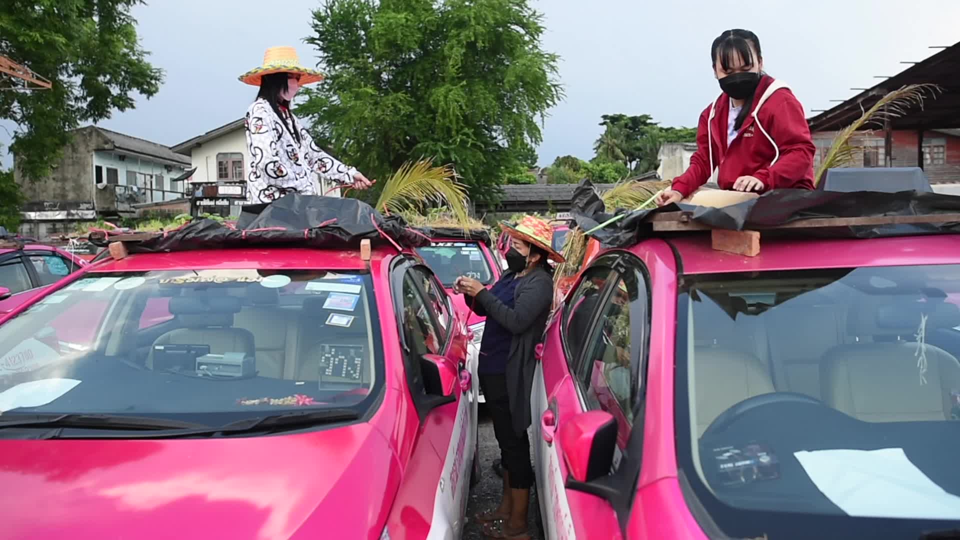 Bangkok's Taxis Become Vegetable Garden to Fight COVID-19 Economic Crisis