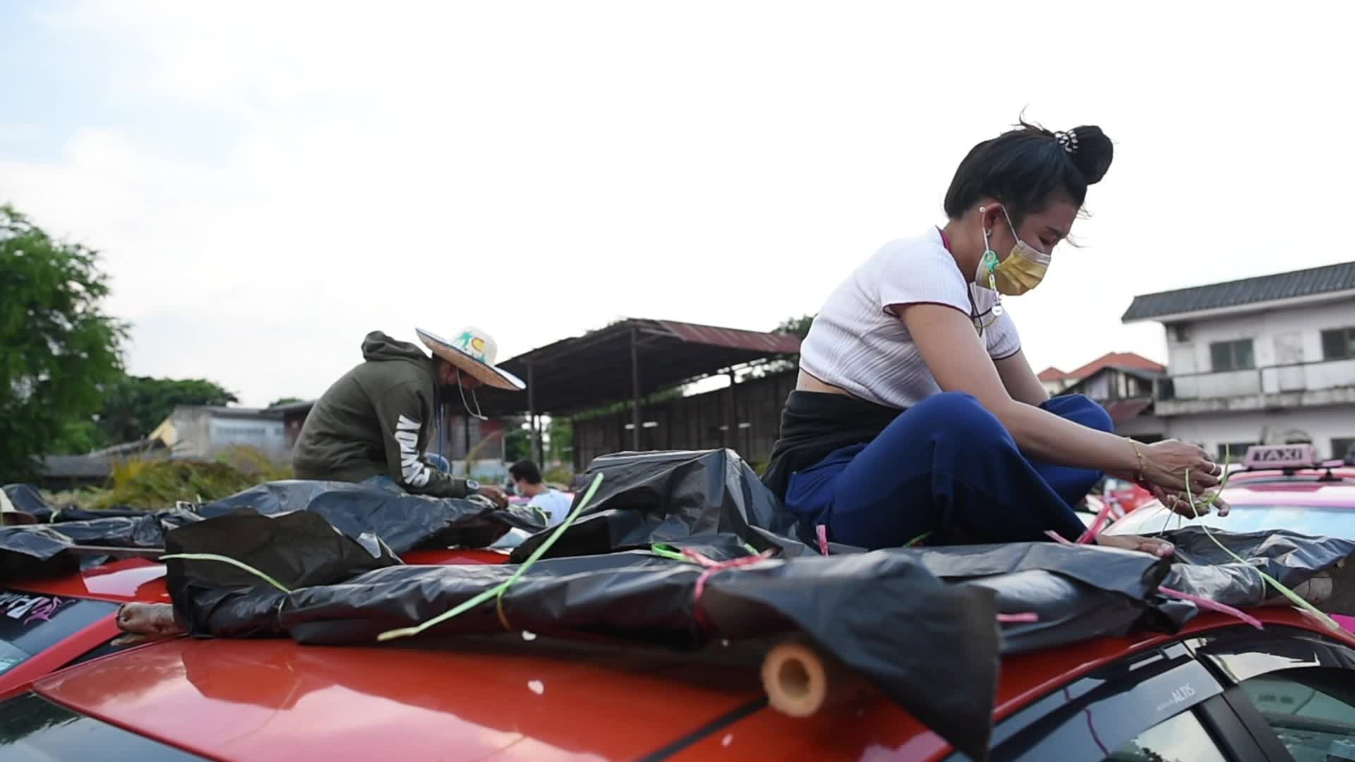Bangkok's Taxis Become Vegetable Garden to Fight COVID-19 Economic Crisis
