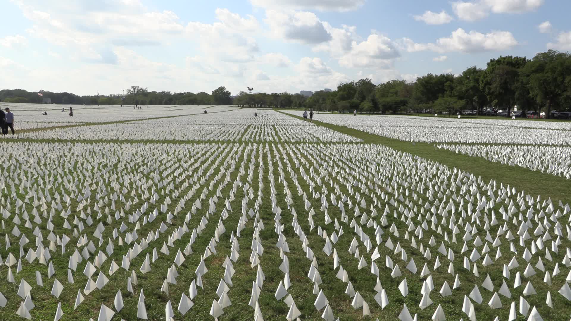 DC: More Than 600,000 White Flags On The National Mall Honor Lives Lost To COVID