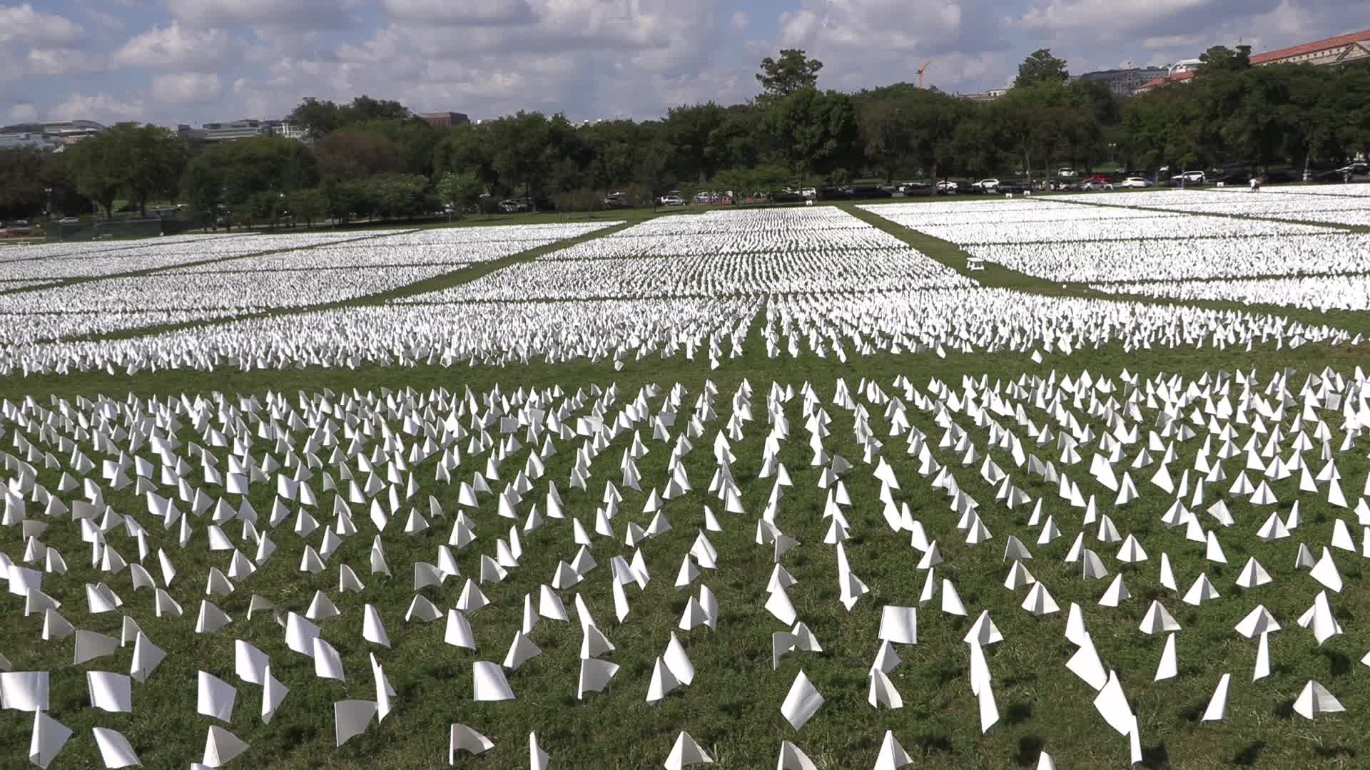DC: Over 600,000 White Flags On The National Mall Honor Lives Lost To COVID