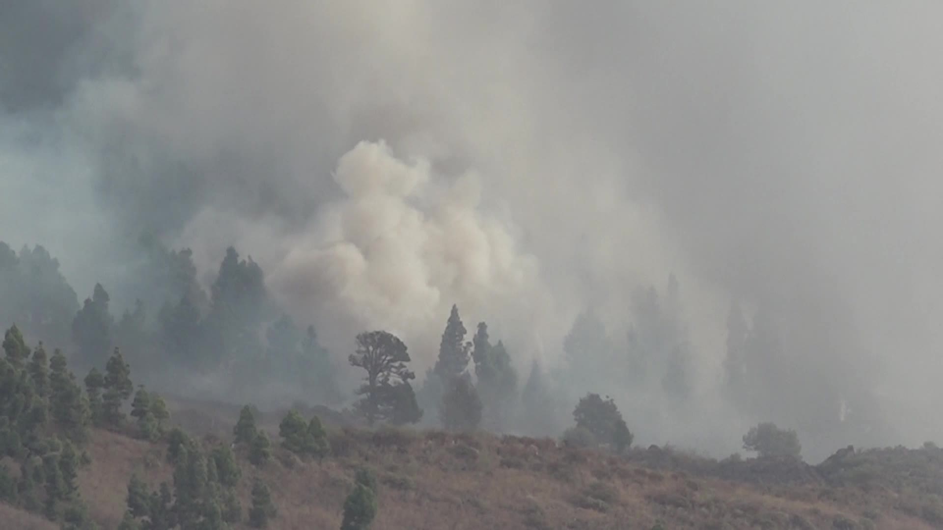 La Palma's Cumbre Vieja volcano erupts