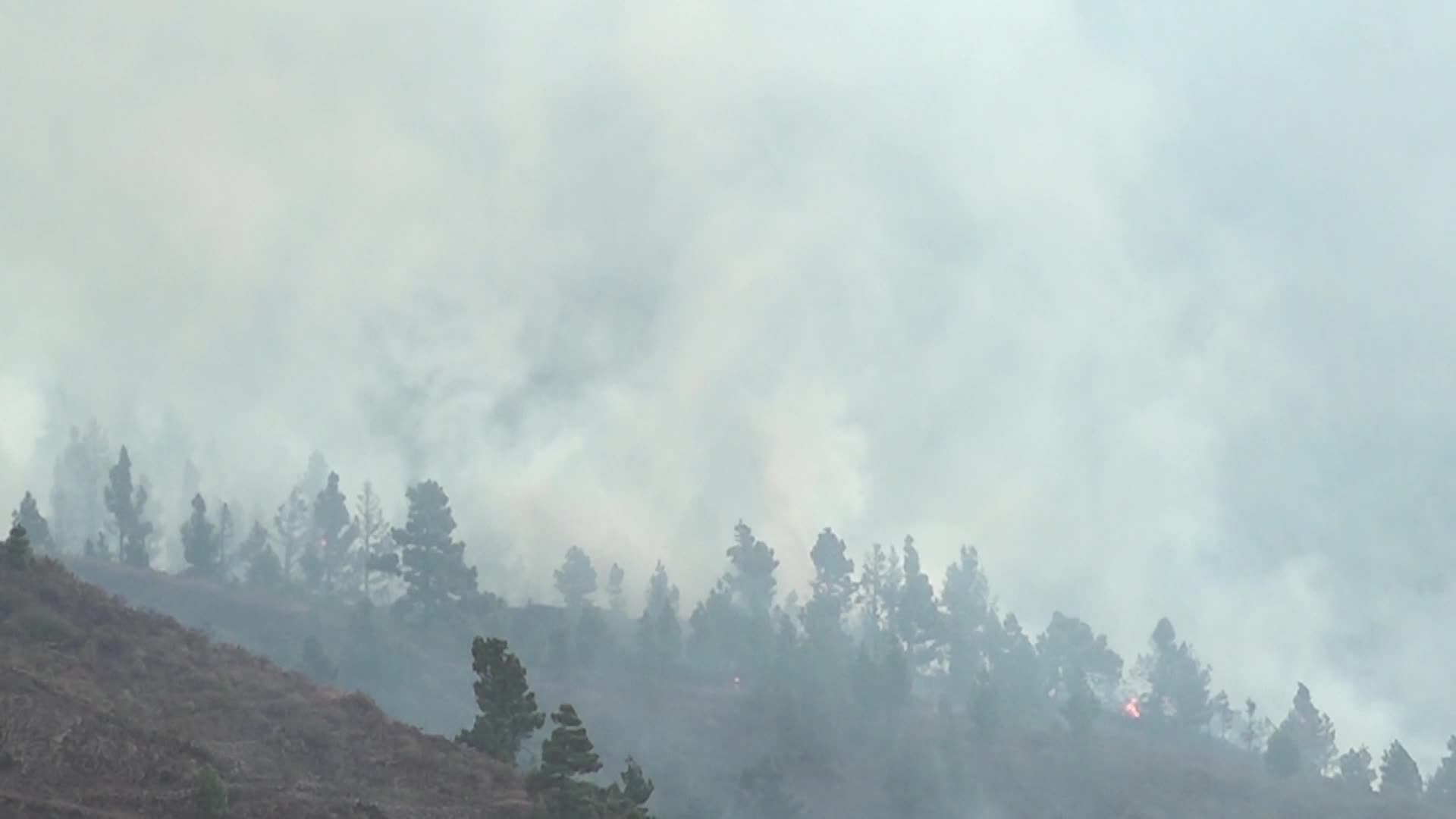La Palma's Cumbre Vieja volcano erupts