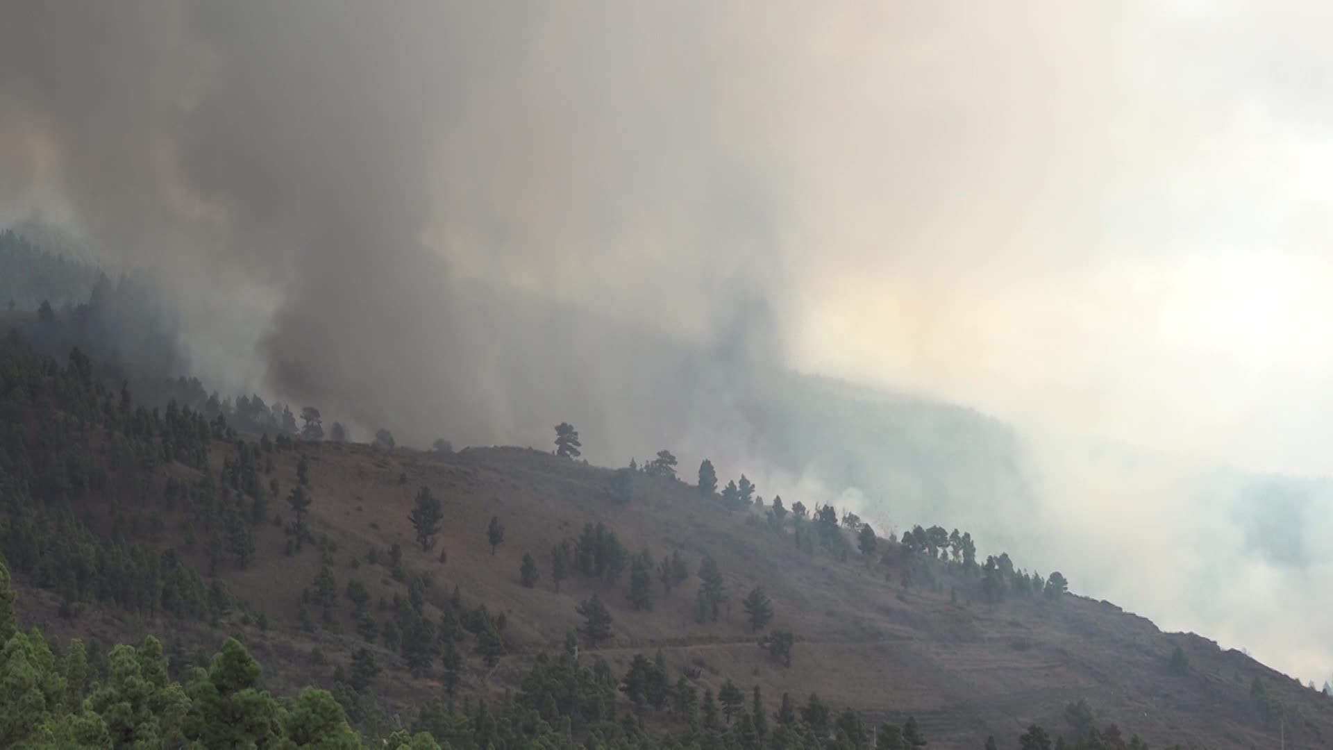 La Palma's Cumbre Vieja volcano erupts