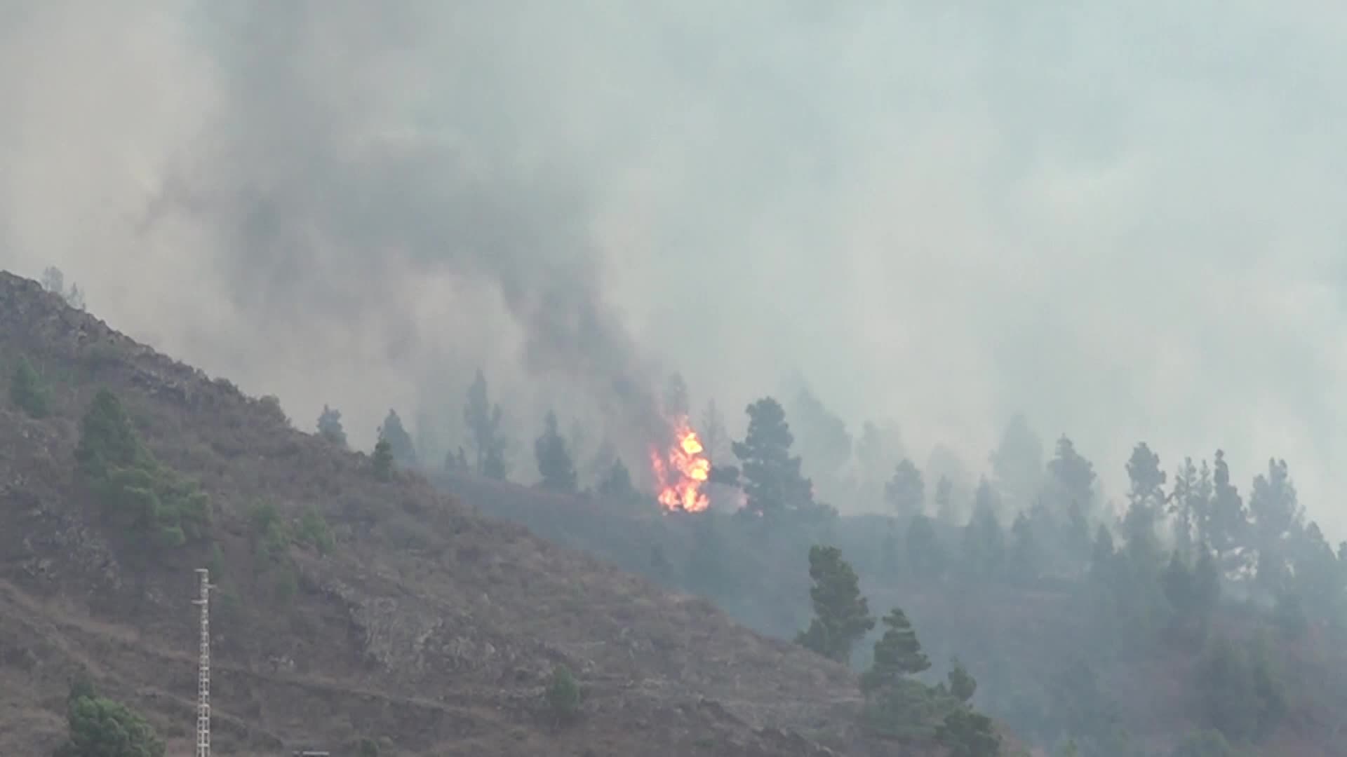 La Palma's Cumbre Vieja volcano erupts